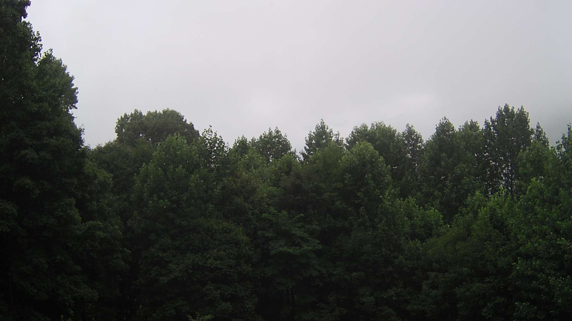 click for next image... slideshow image