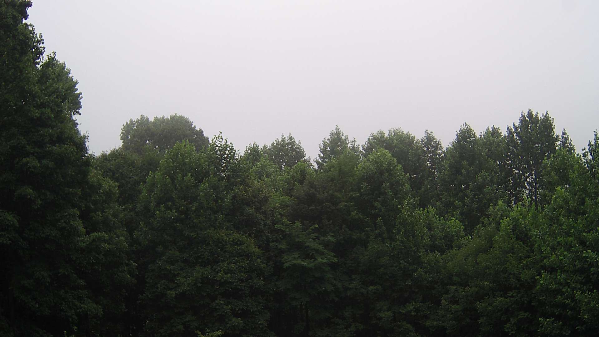 click for next image... slideshow image