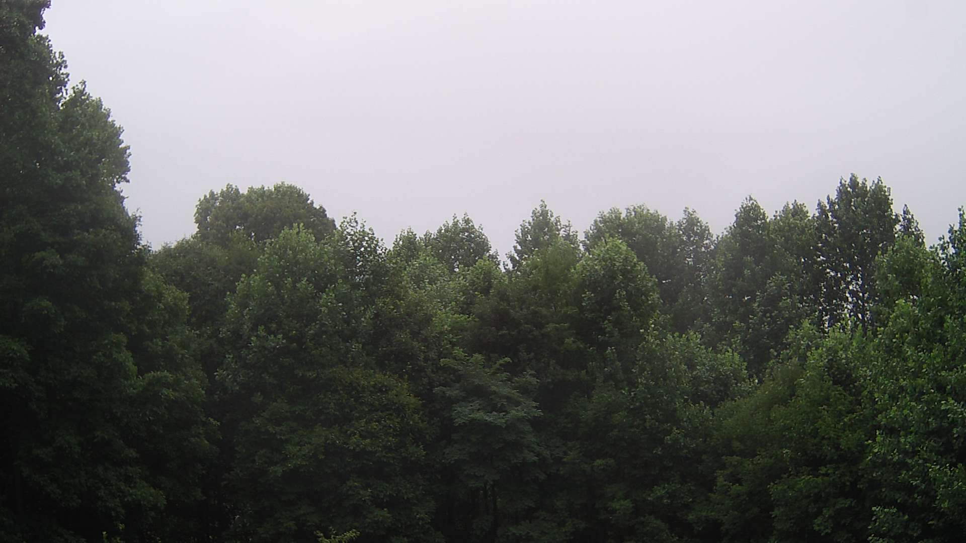 click for next image... slideshow image