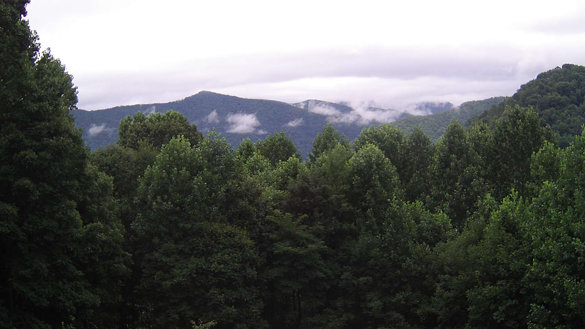 click for next image... slideshow image