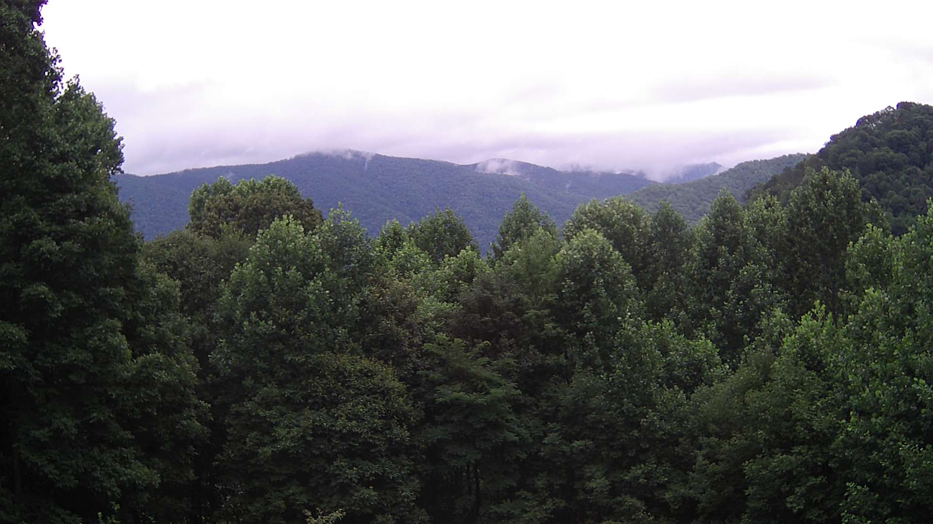 click for next image... slideshow image