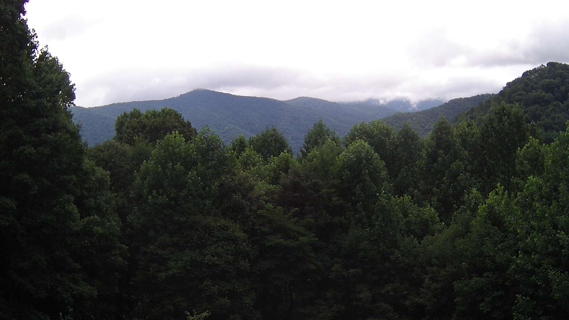 click for next image... slideshow image