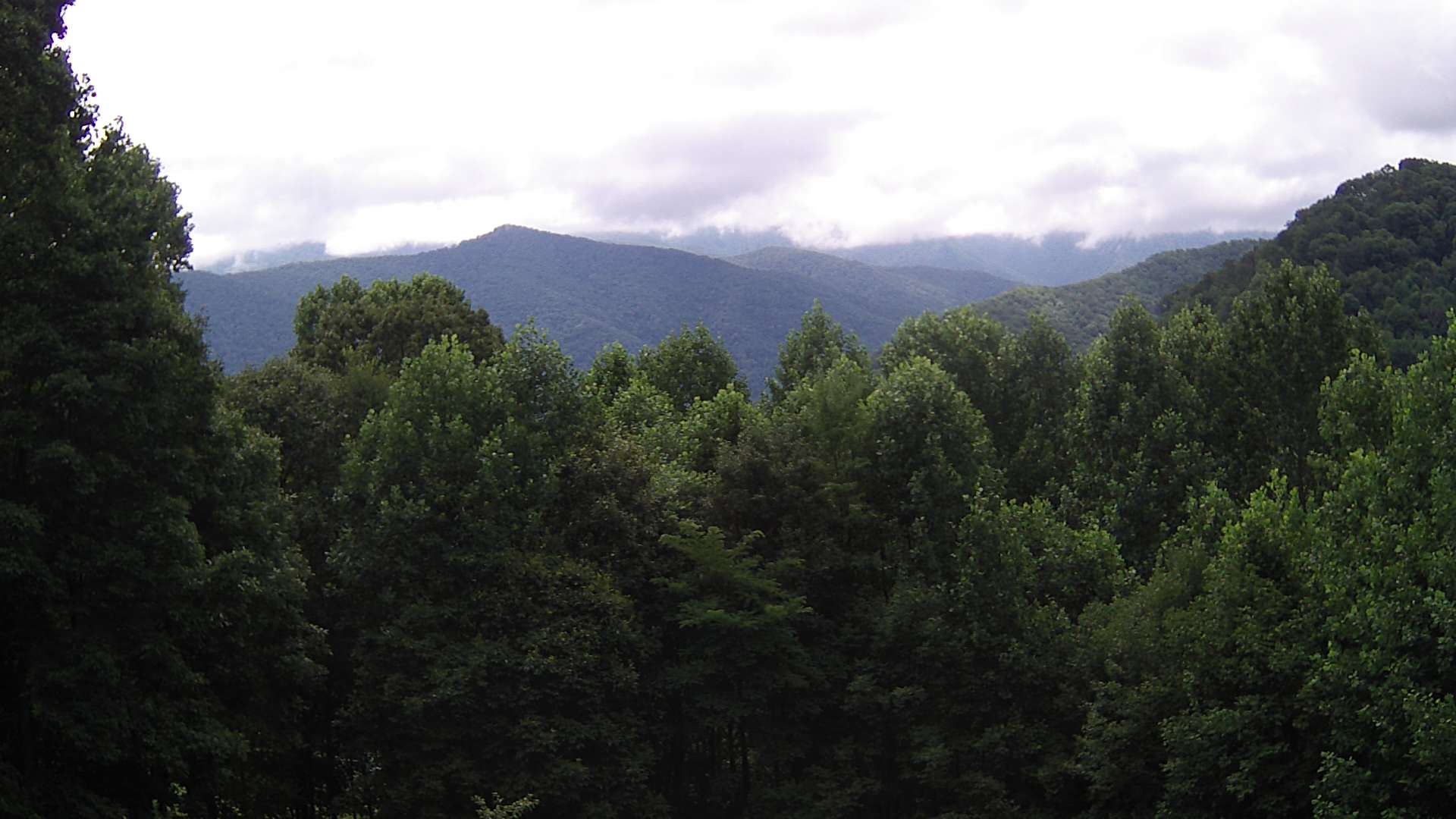 click for next image... slideshow image