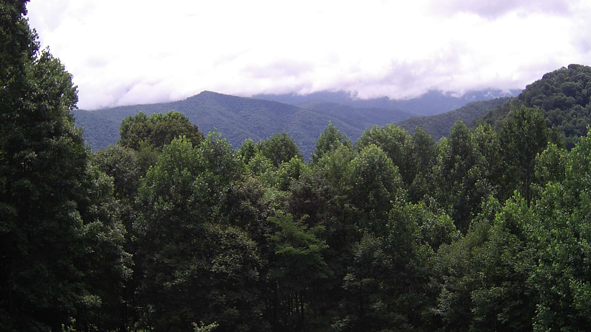 click for next image... slideshow image