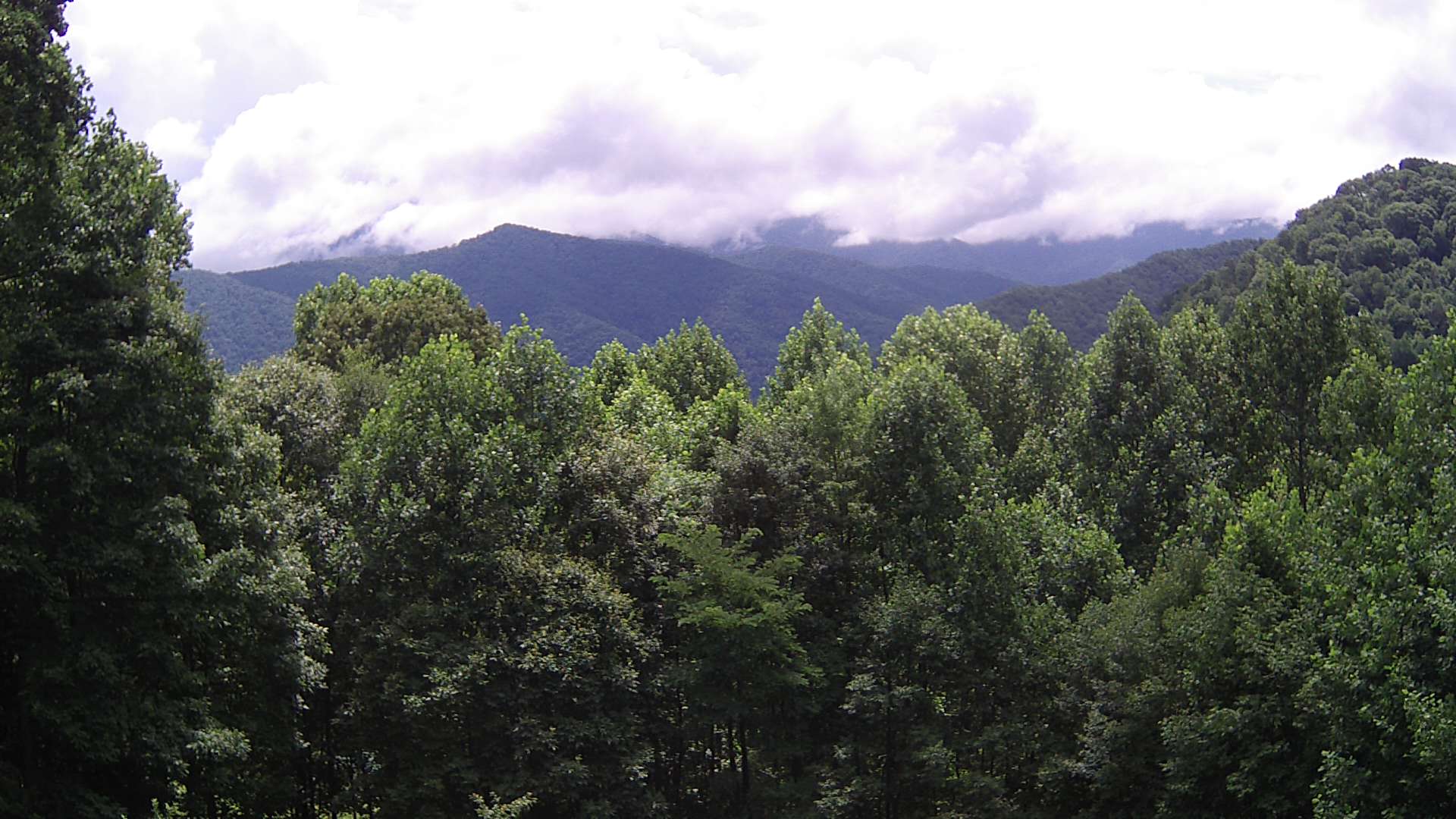 click for next image... slideshow image