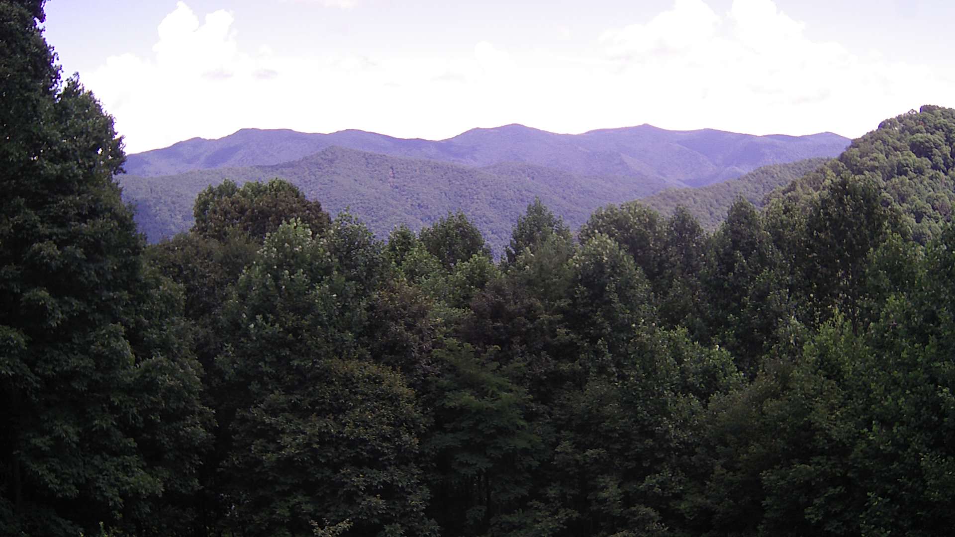 click for next image... slideshow image