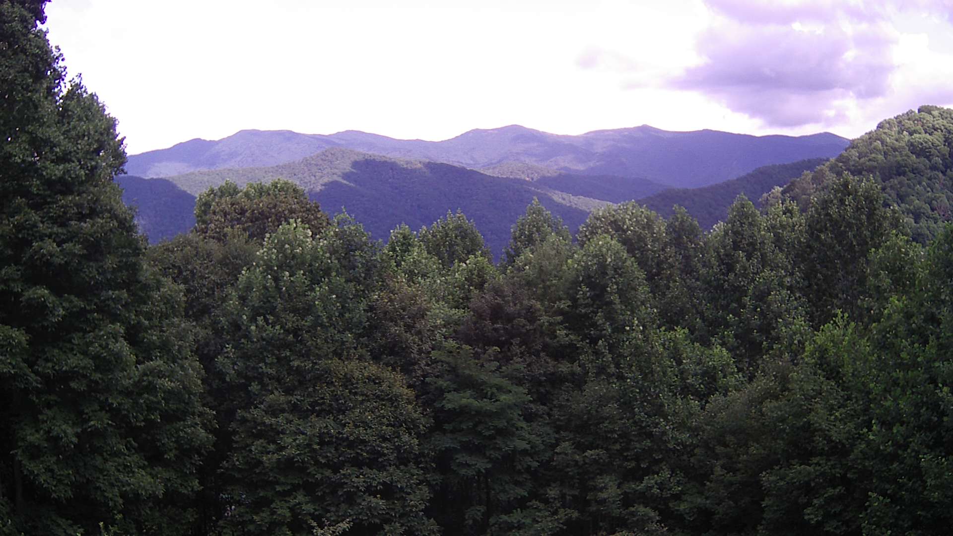click for next image... slideshow image