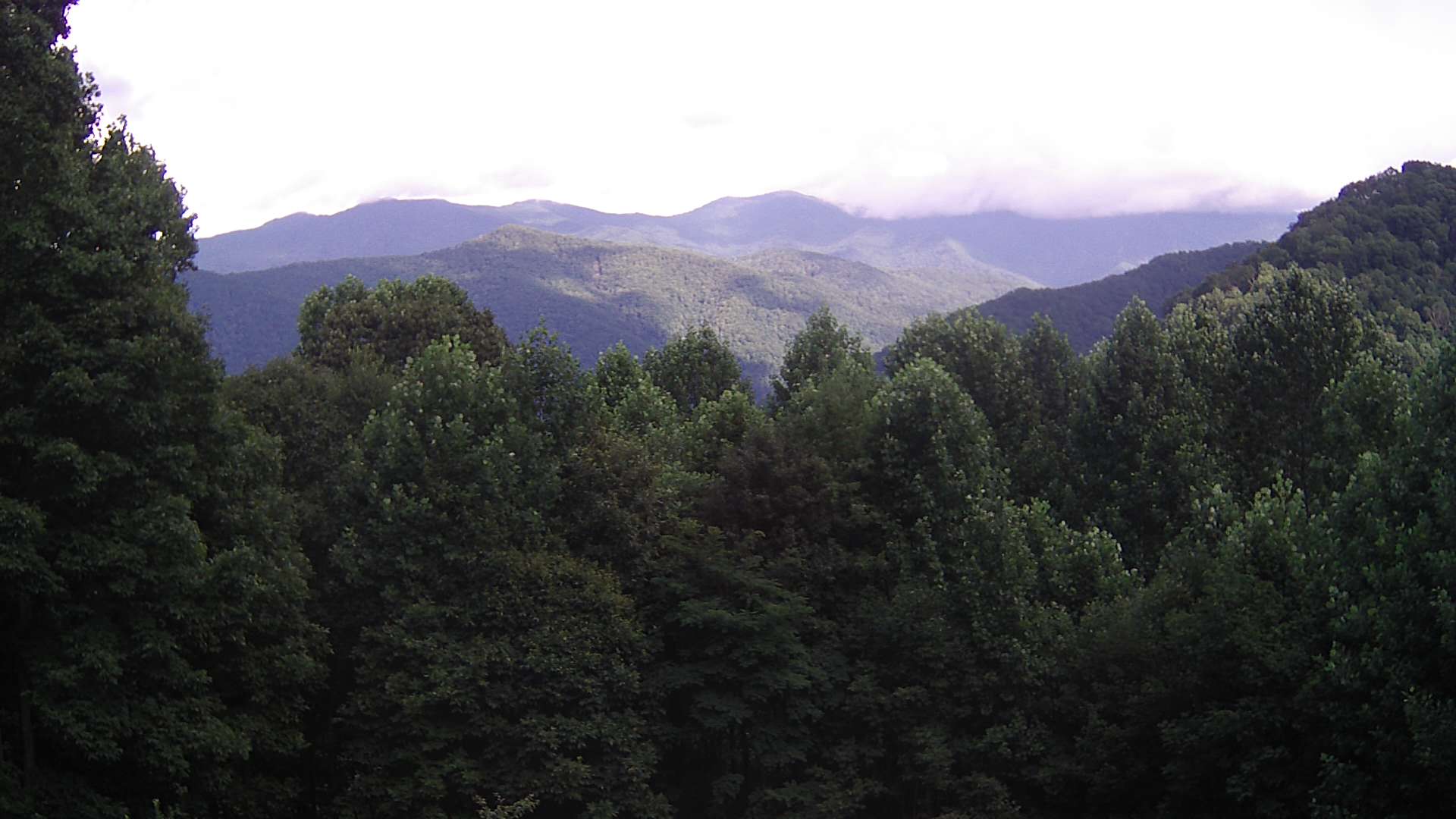 click for next image... slideshow image