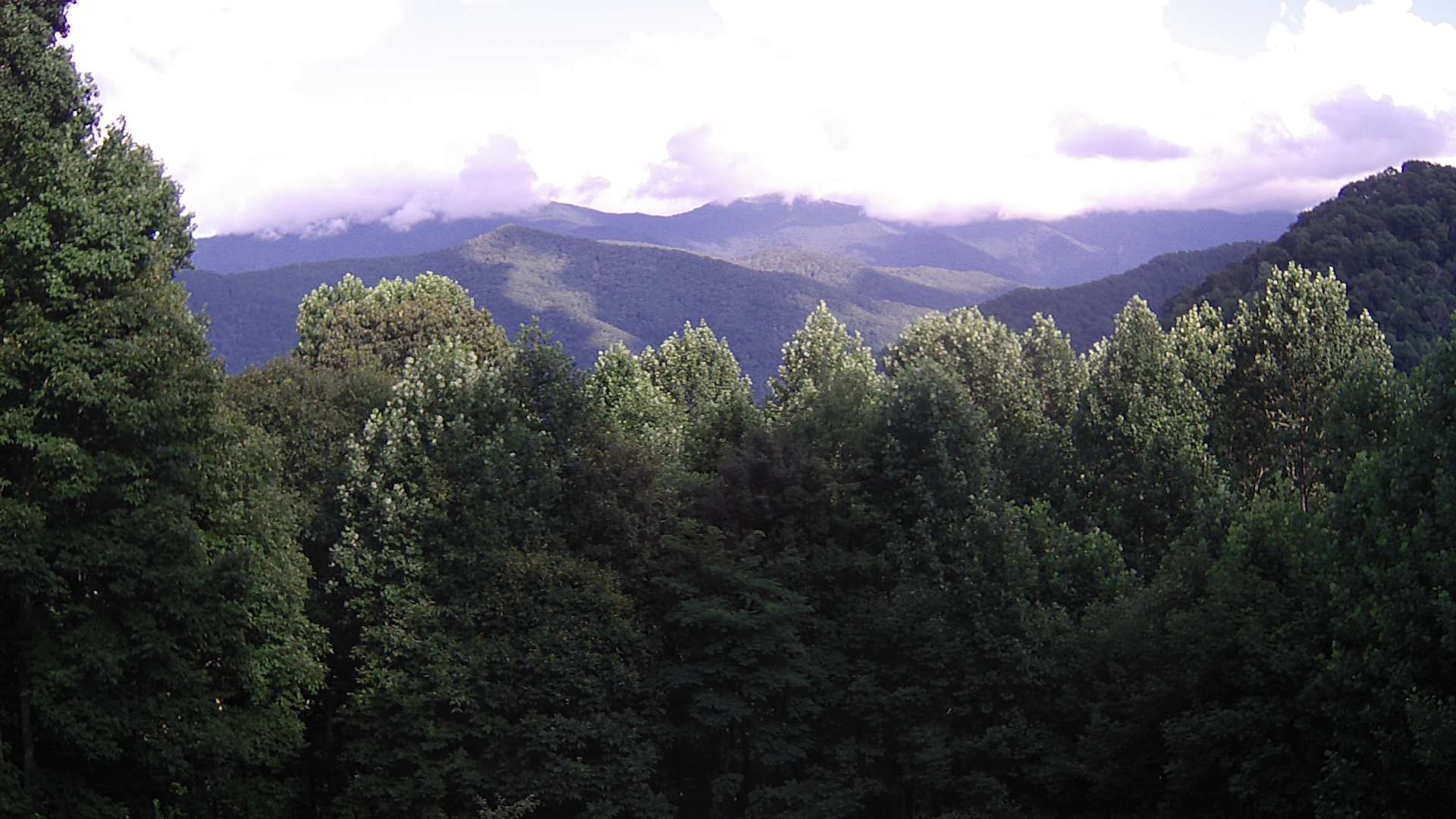 click for next image... slideshow image