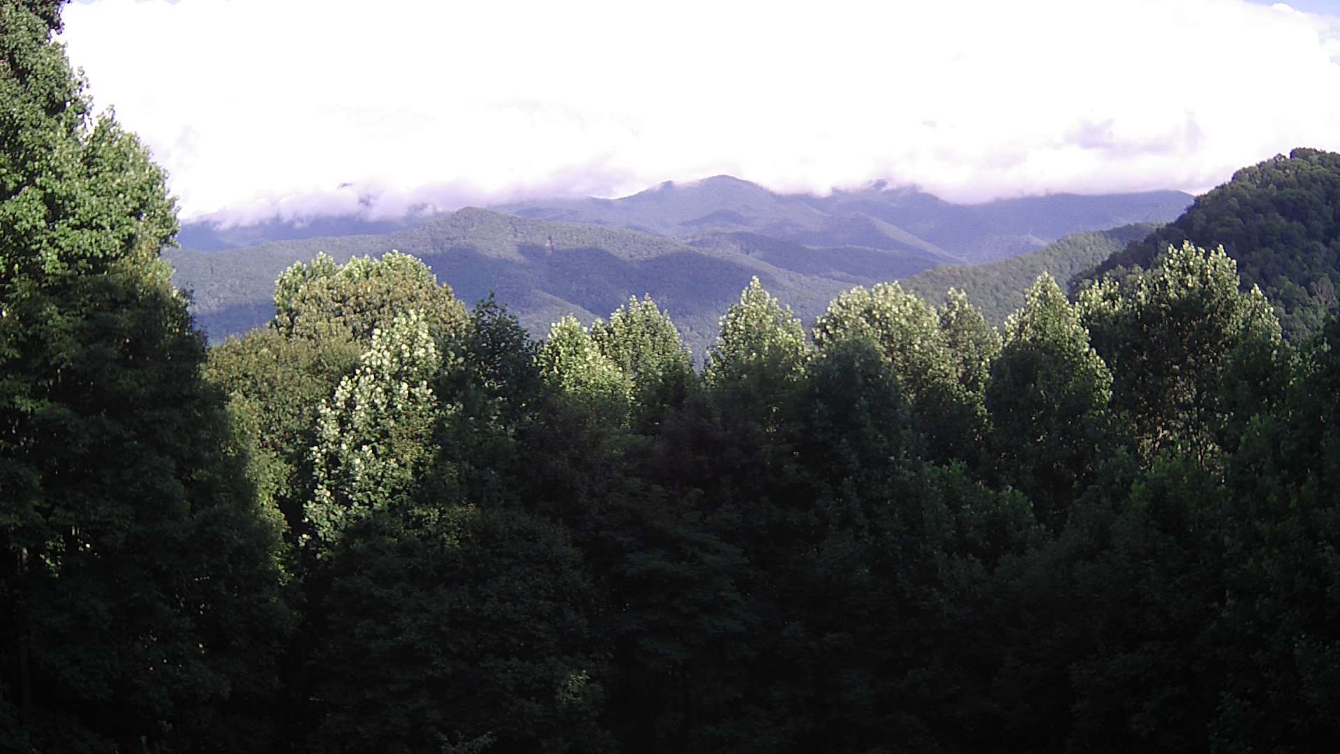 click for next image... slideshow image
