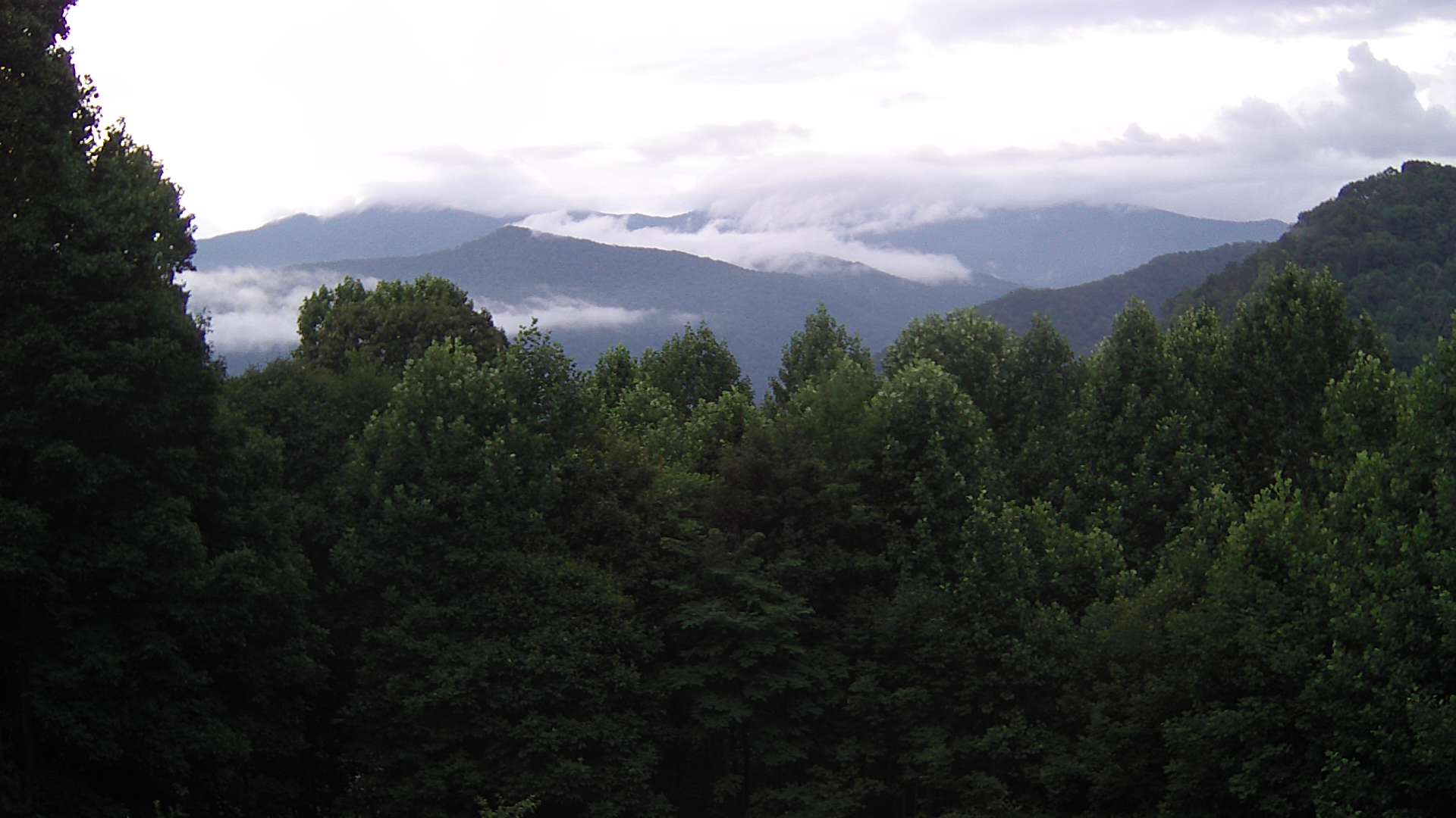 click for next image... slideshow image