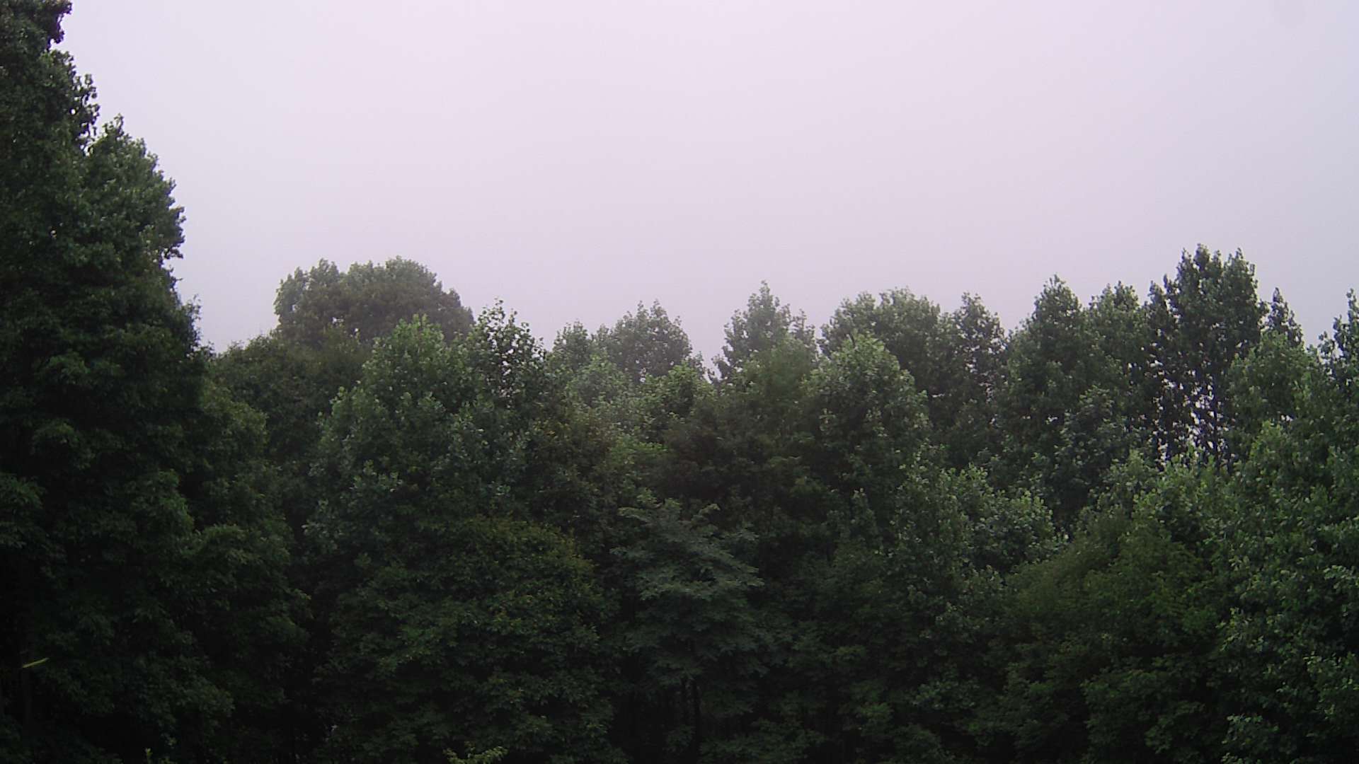 click for next image... slideshow image