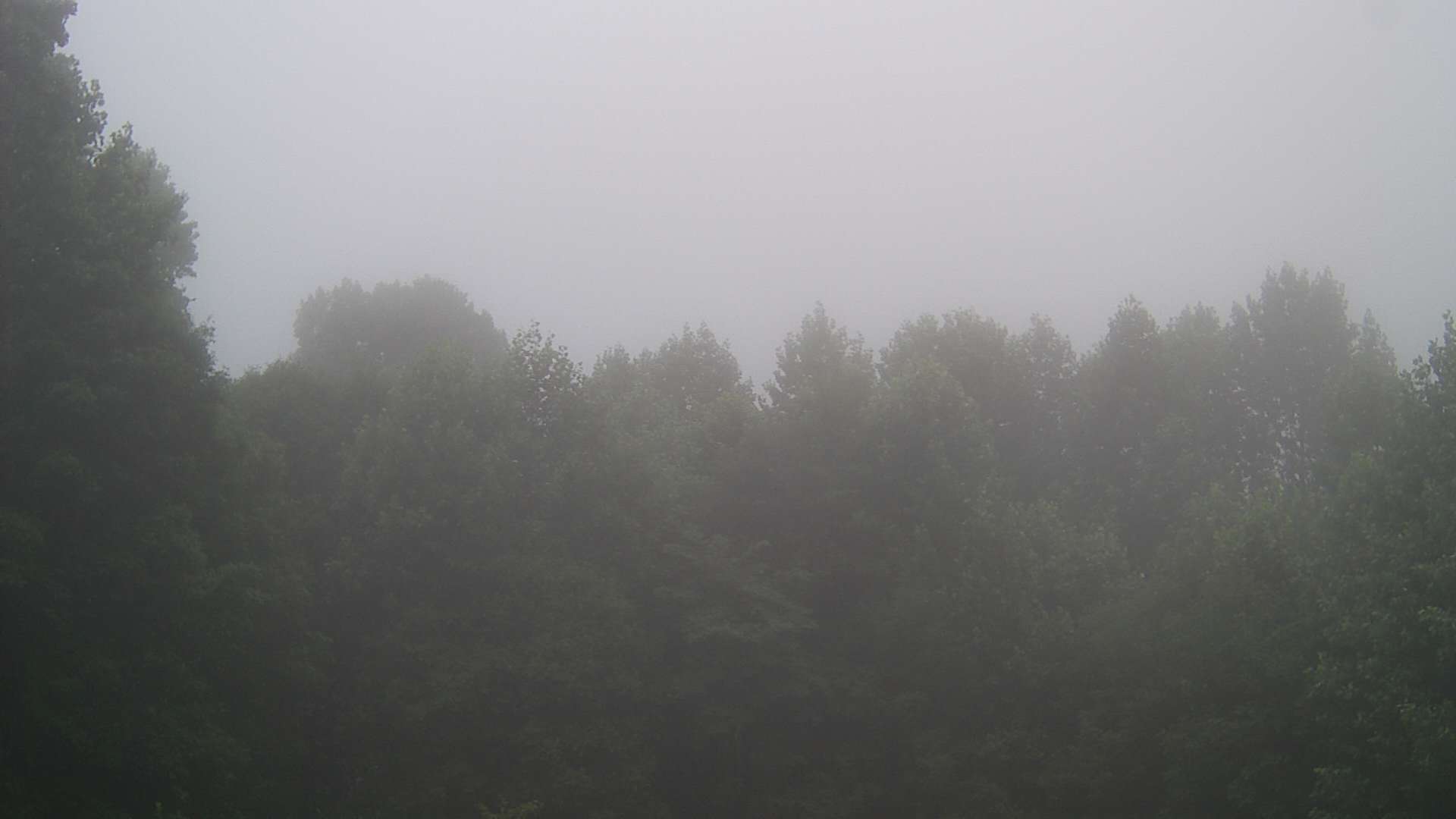 click for next image... slideshow image