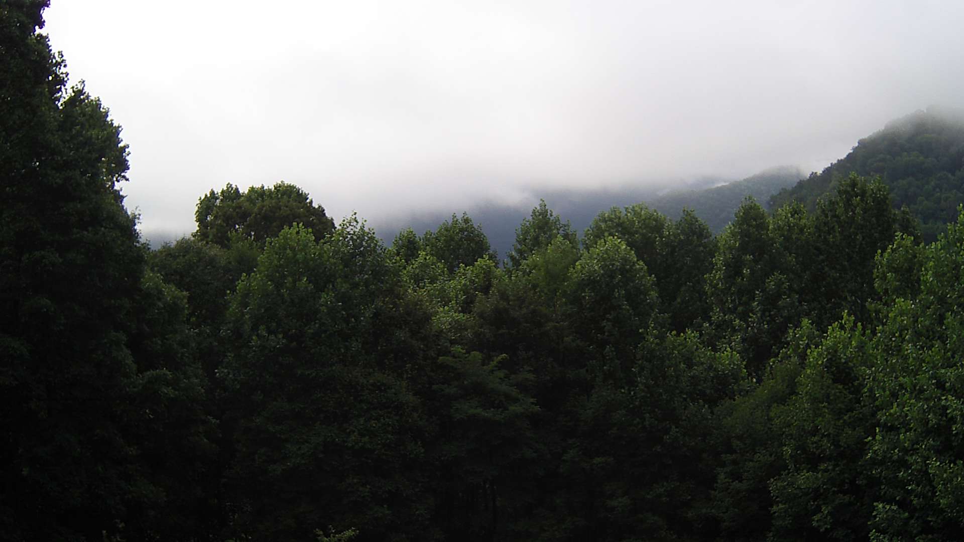 click for next image... slideshow image