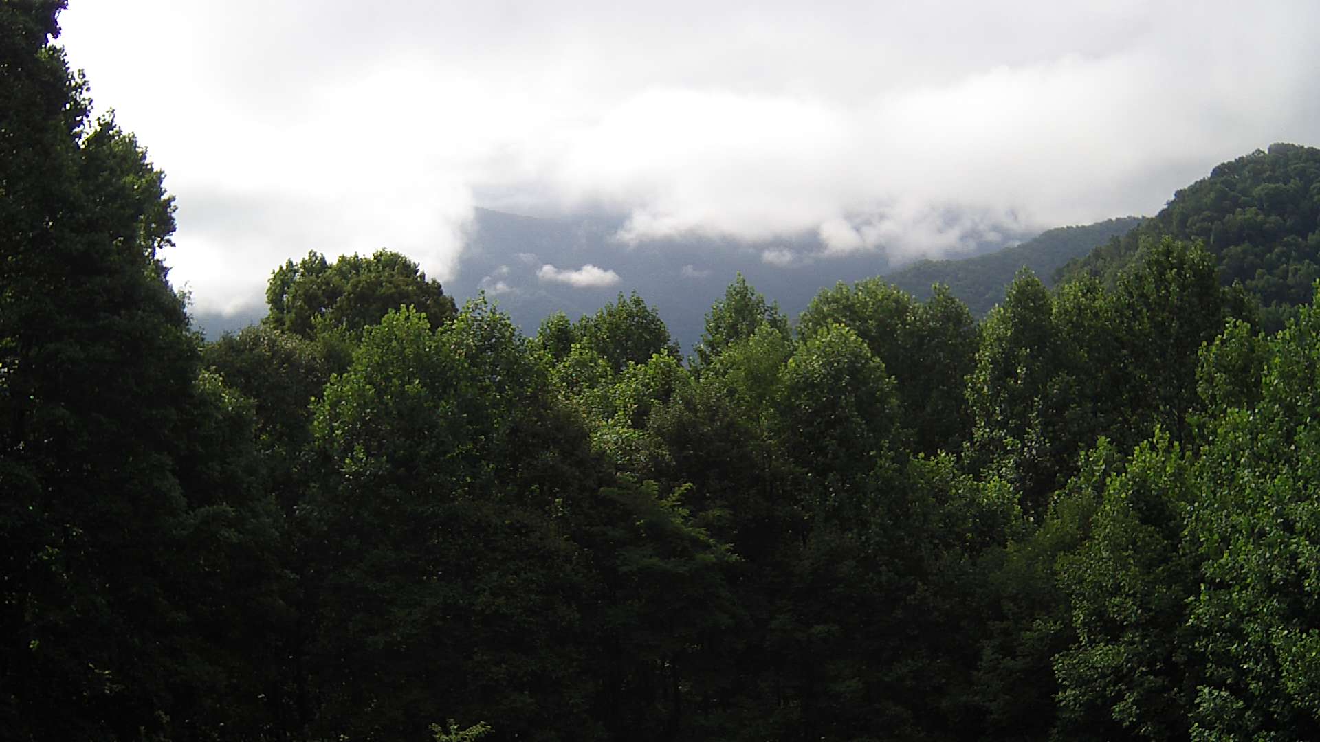 click for next image... slideshow image