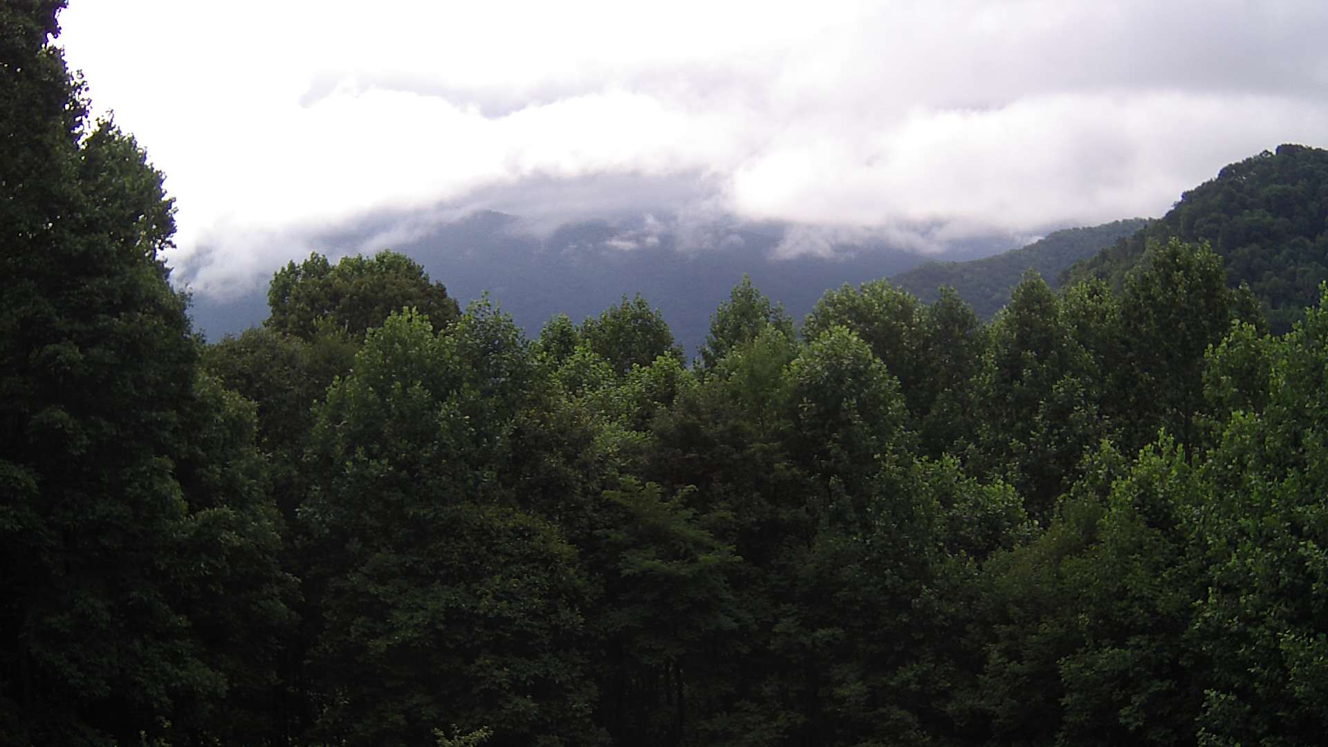 click for next image... slideshow image