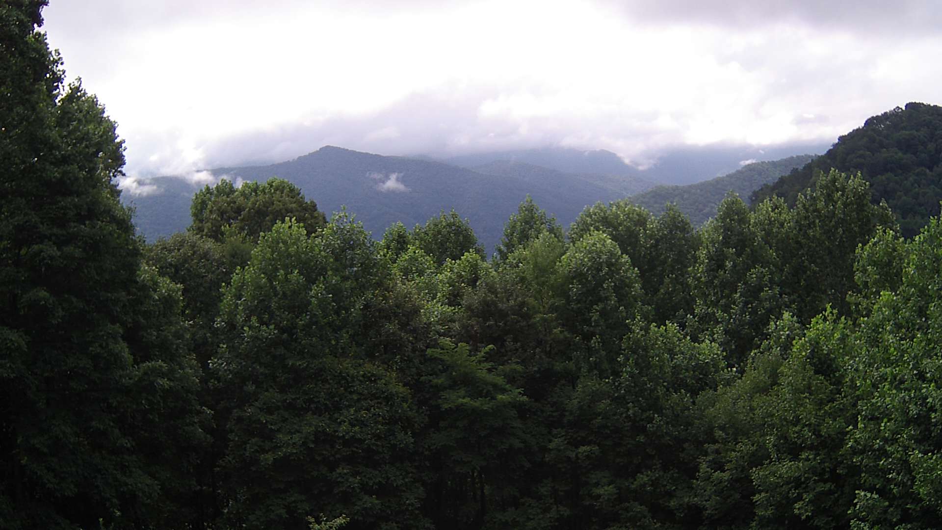 click for next image... slideshow image