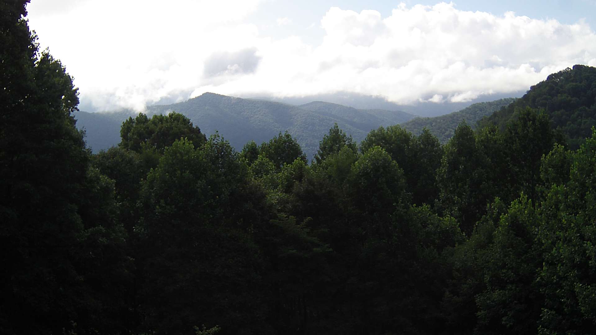 click for next image... slideshow image