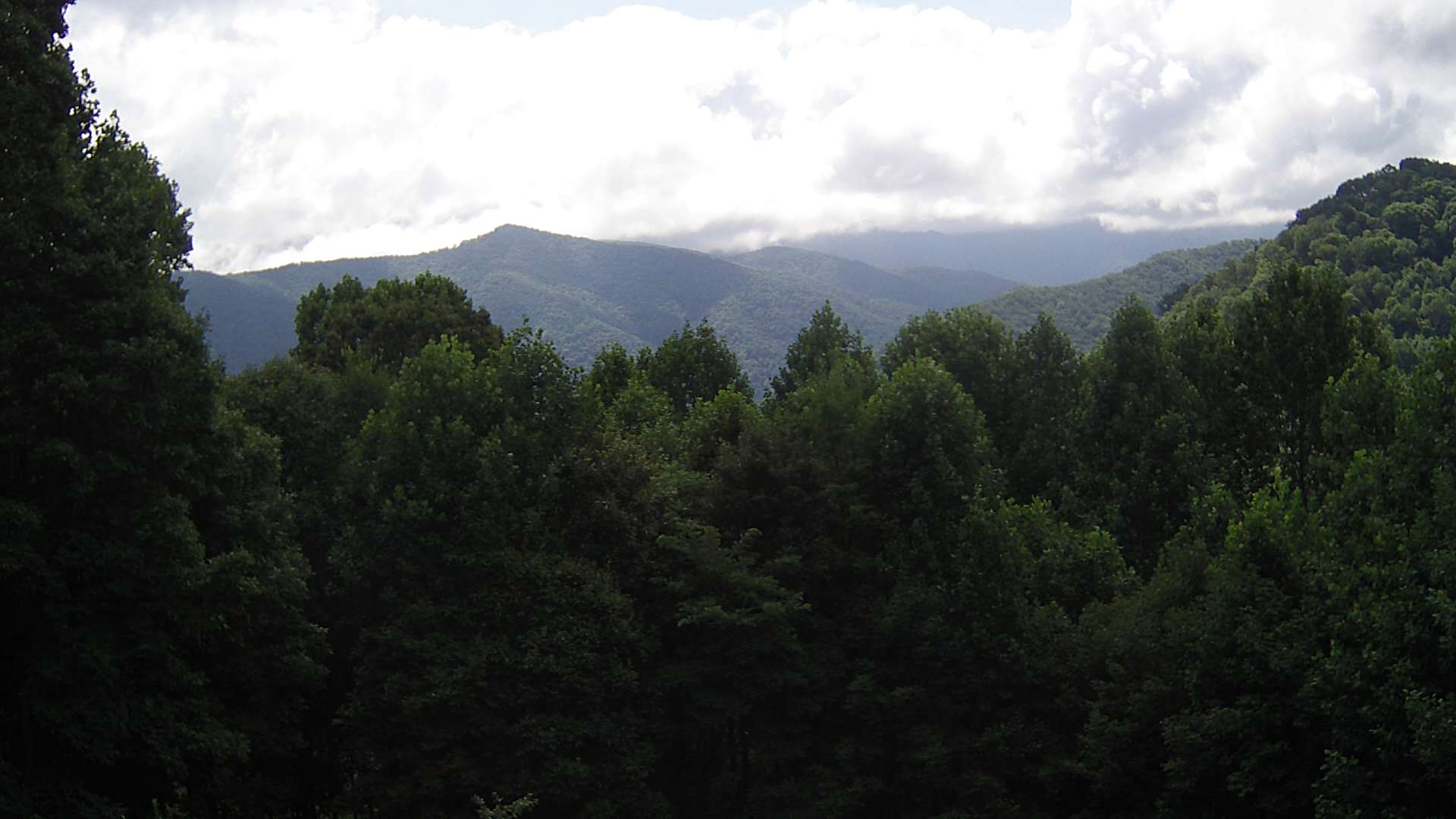 click for next image... slideshow image