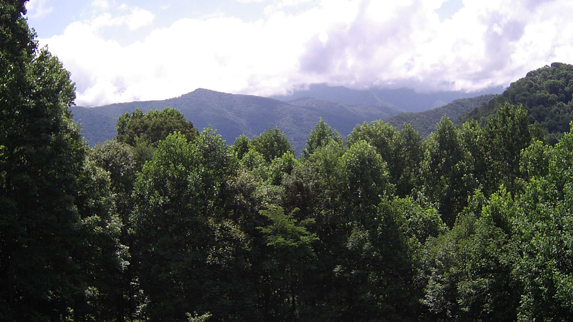 click for next image... slideshow image