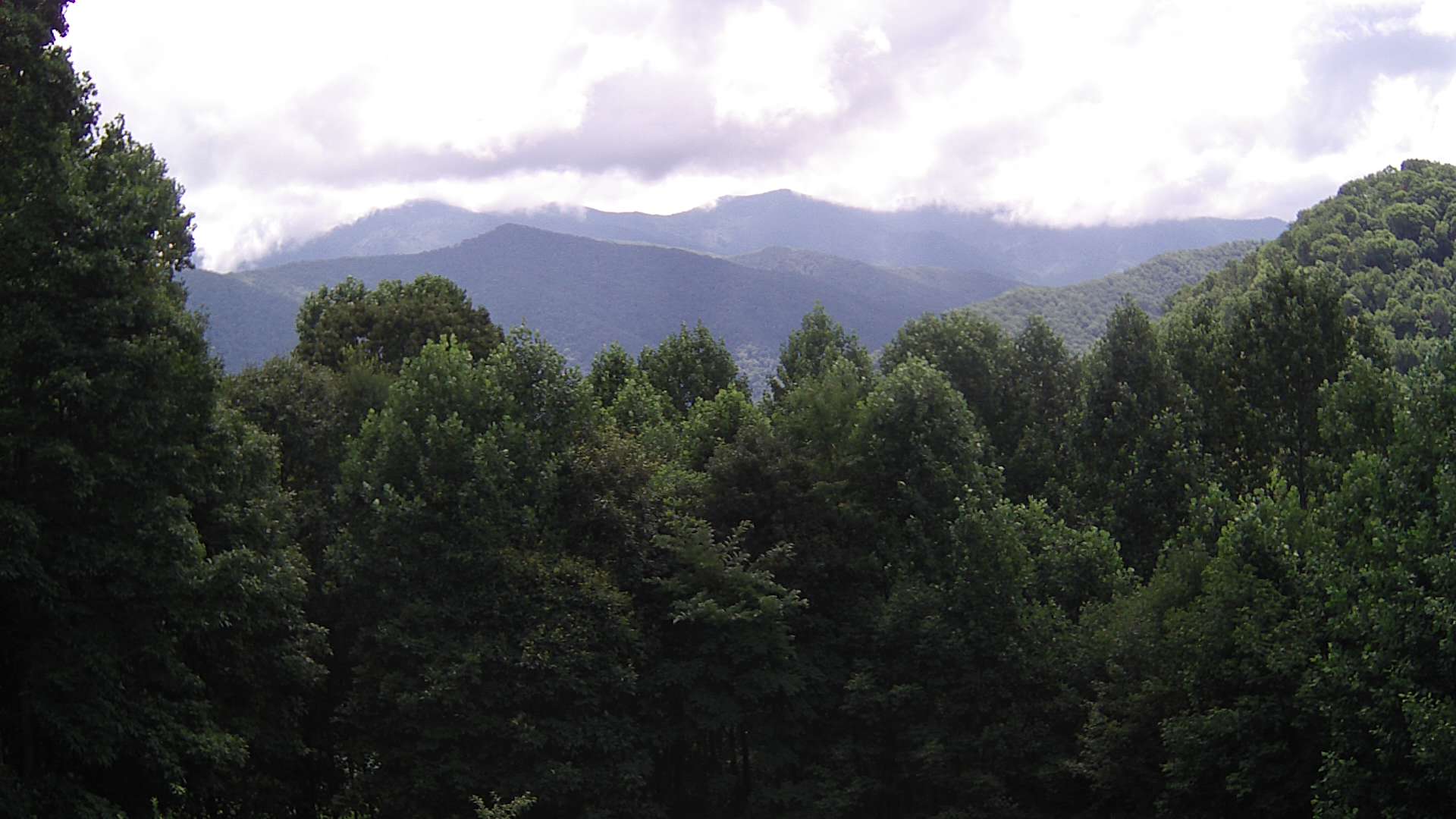 click for next image... slideshow image