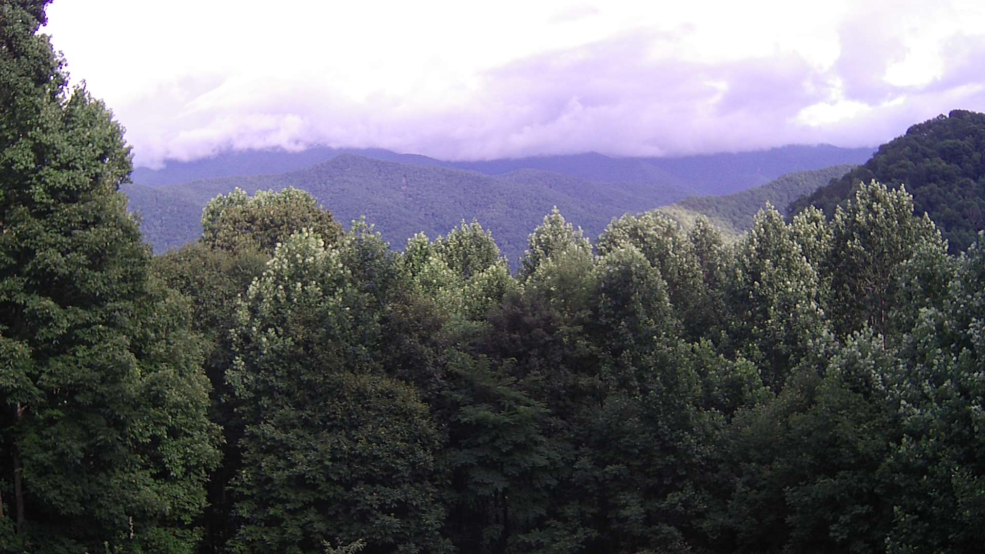 click for next image... slideshow image