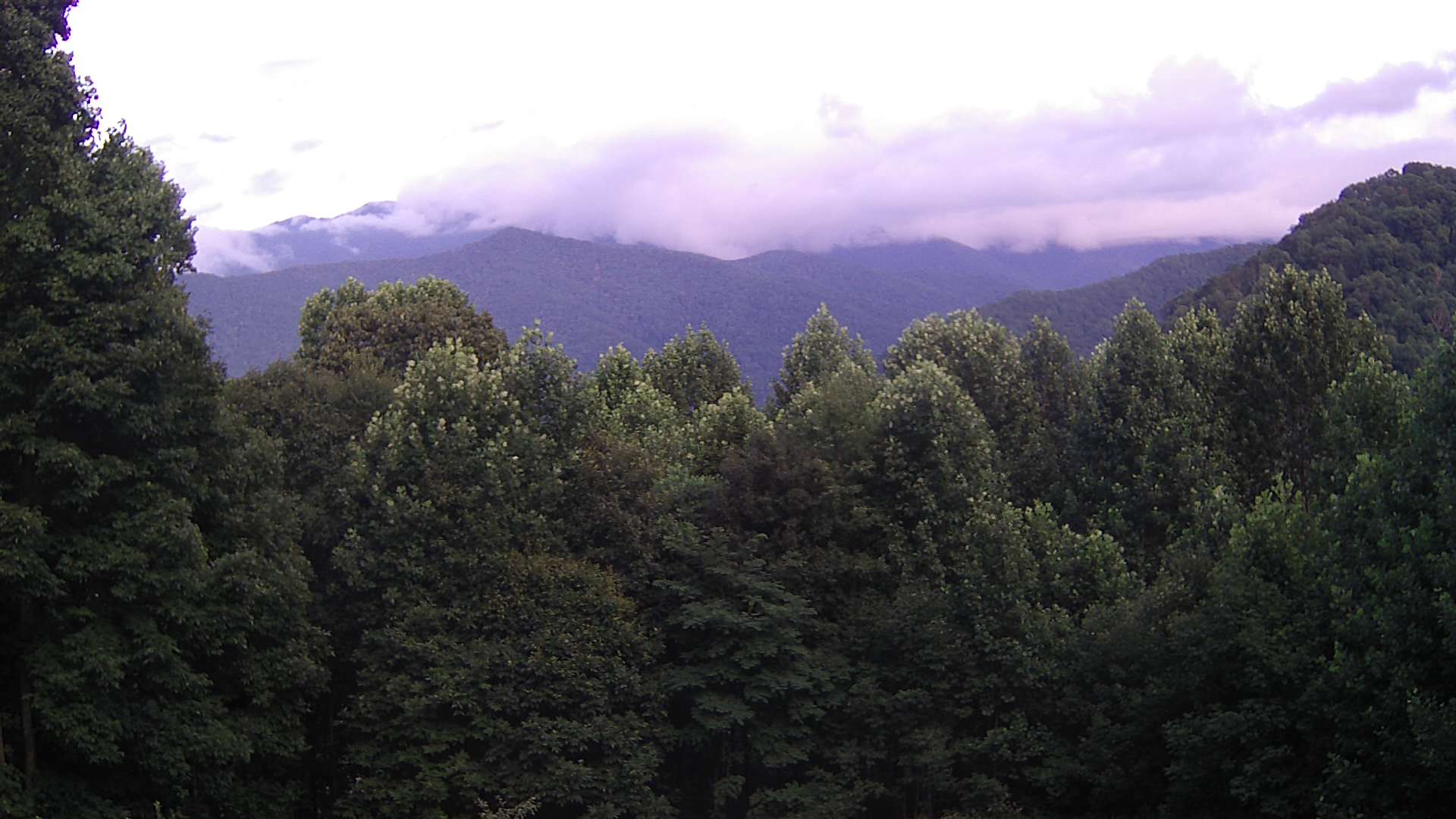 click for next image... slideshow image