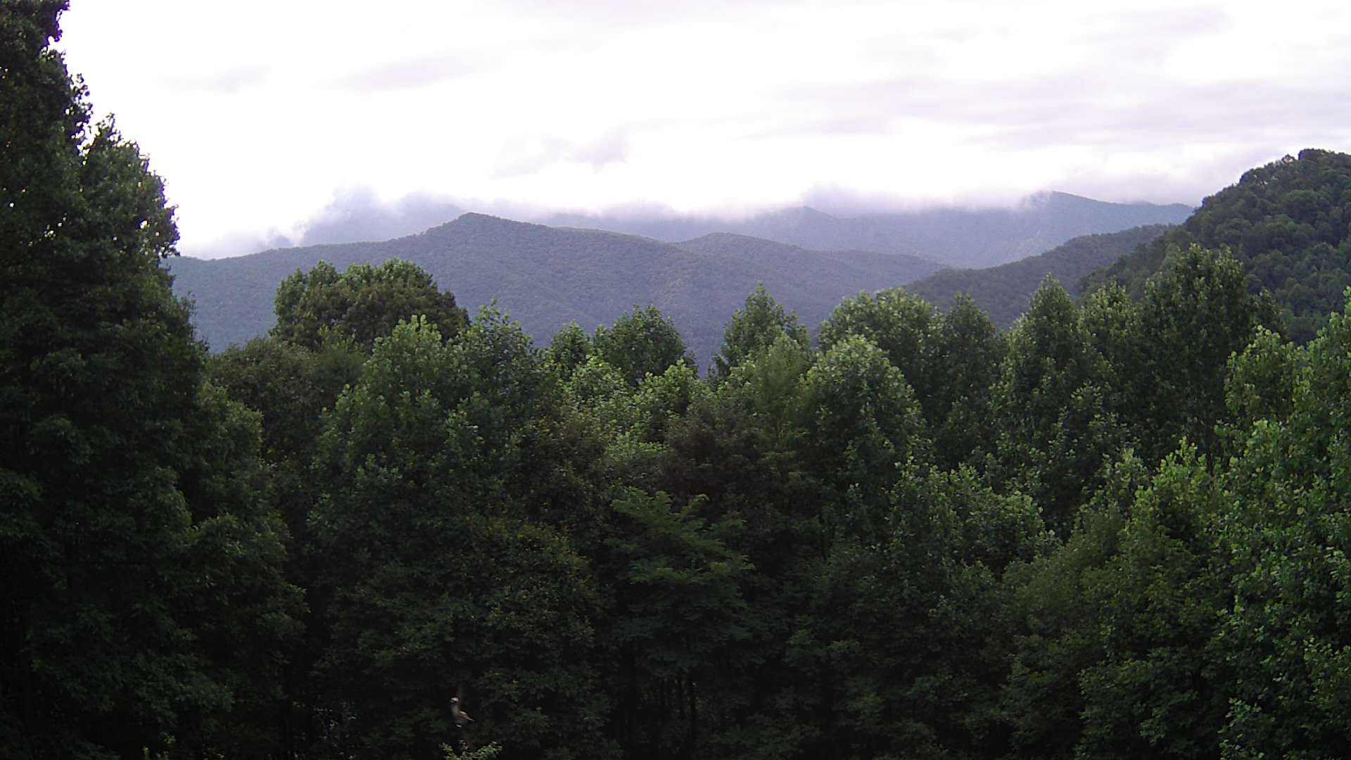 click for next image... slideshow image