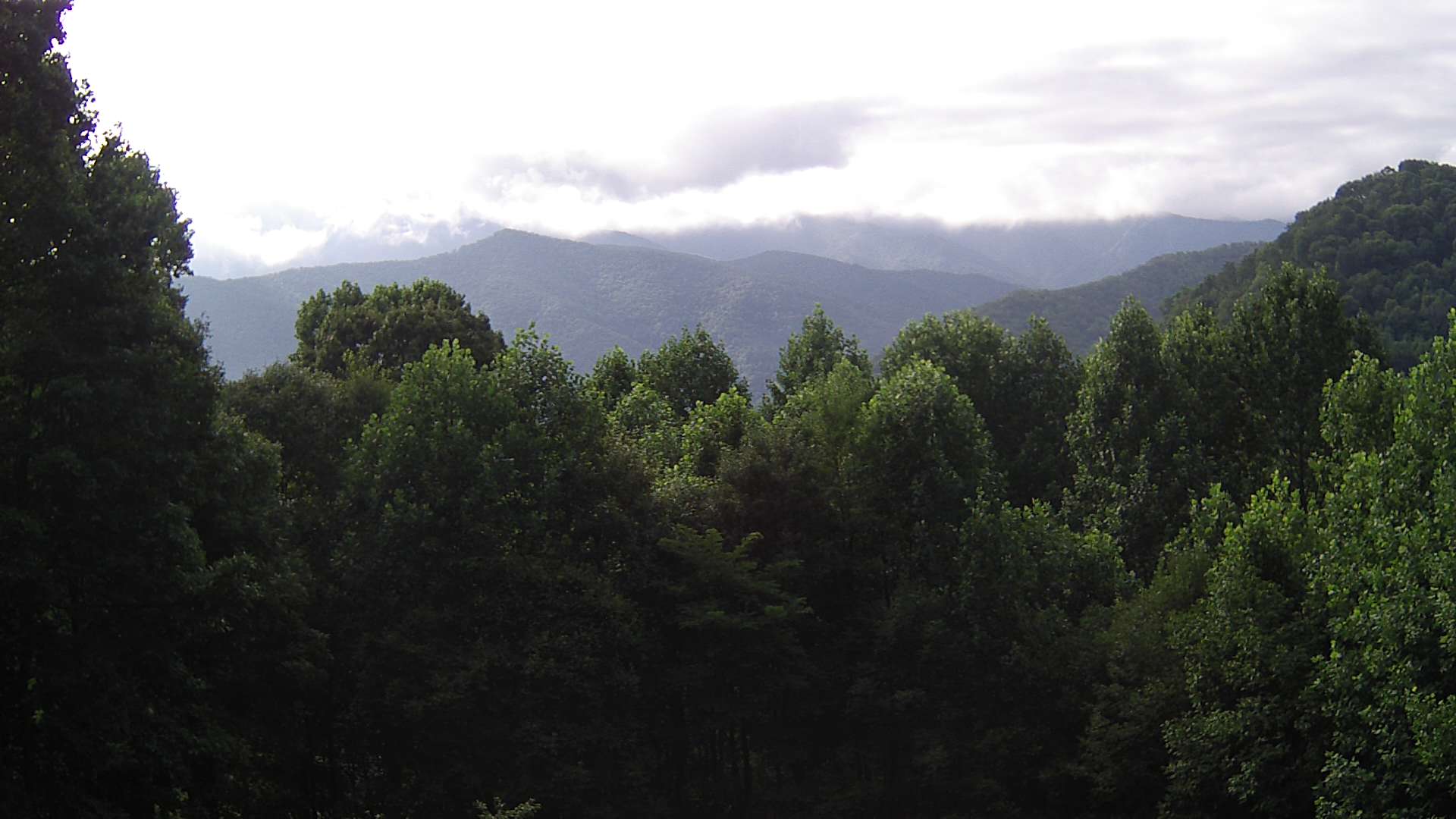 click for next image... slideshow image