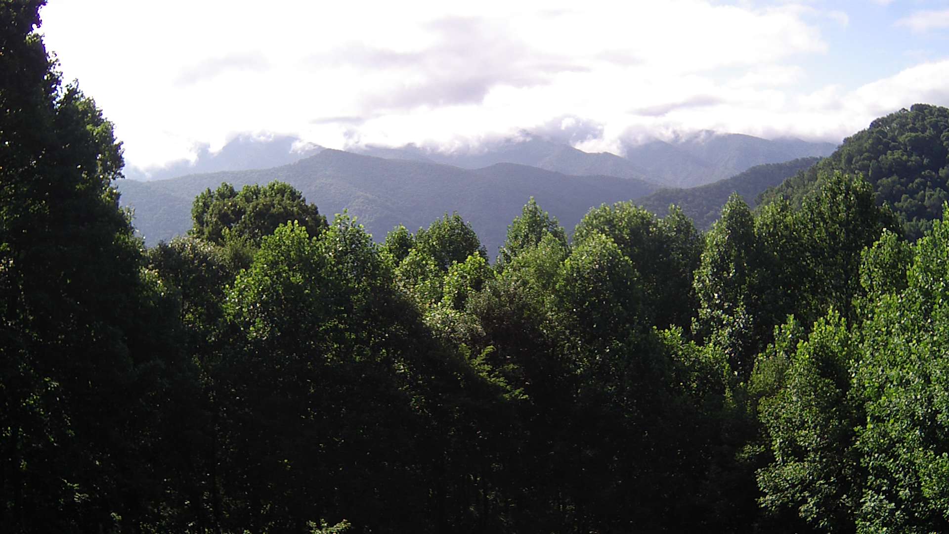 click for next image... slideshow image