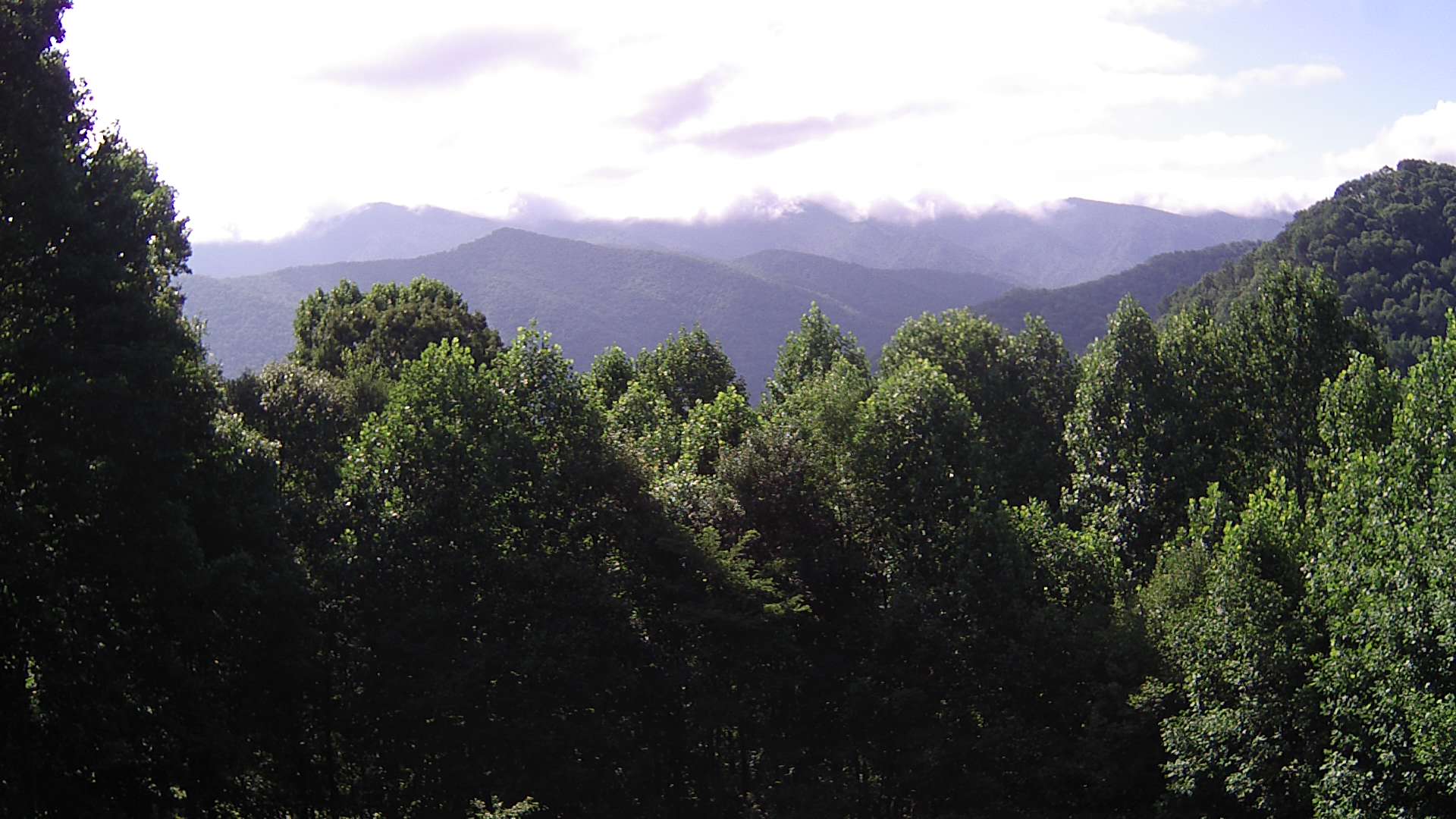 click for next image... slideshow image