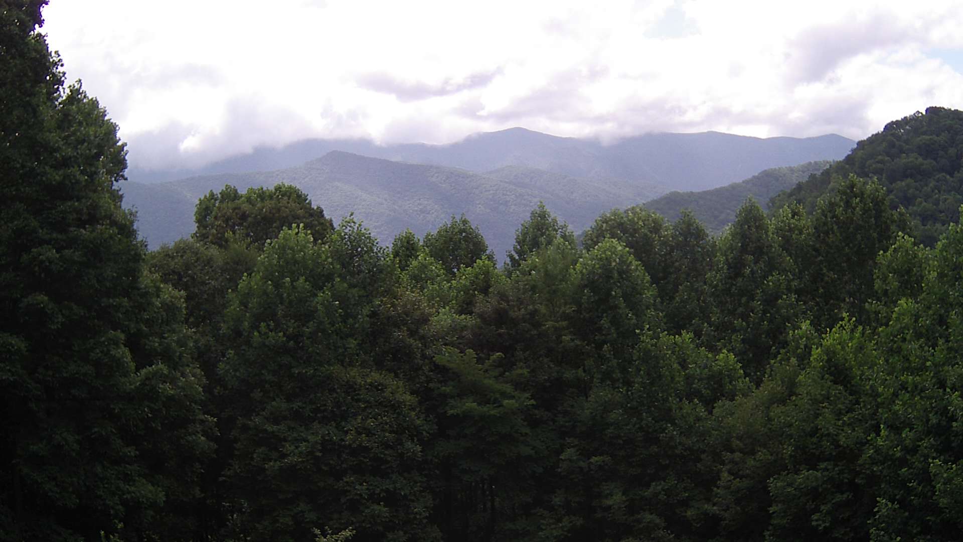 click for next image... slideshow image