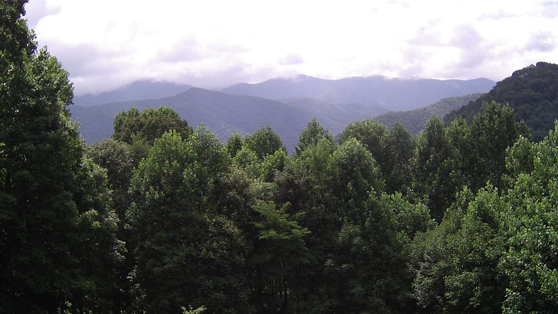 click for next image... slideshow image
