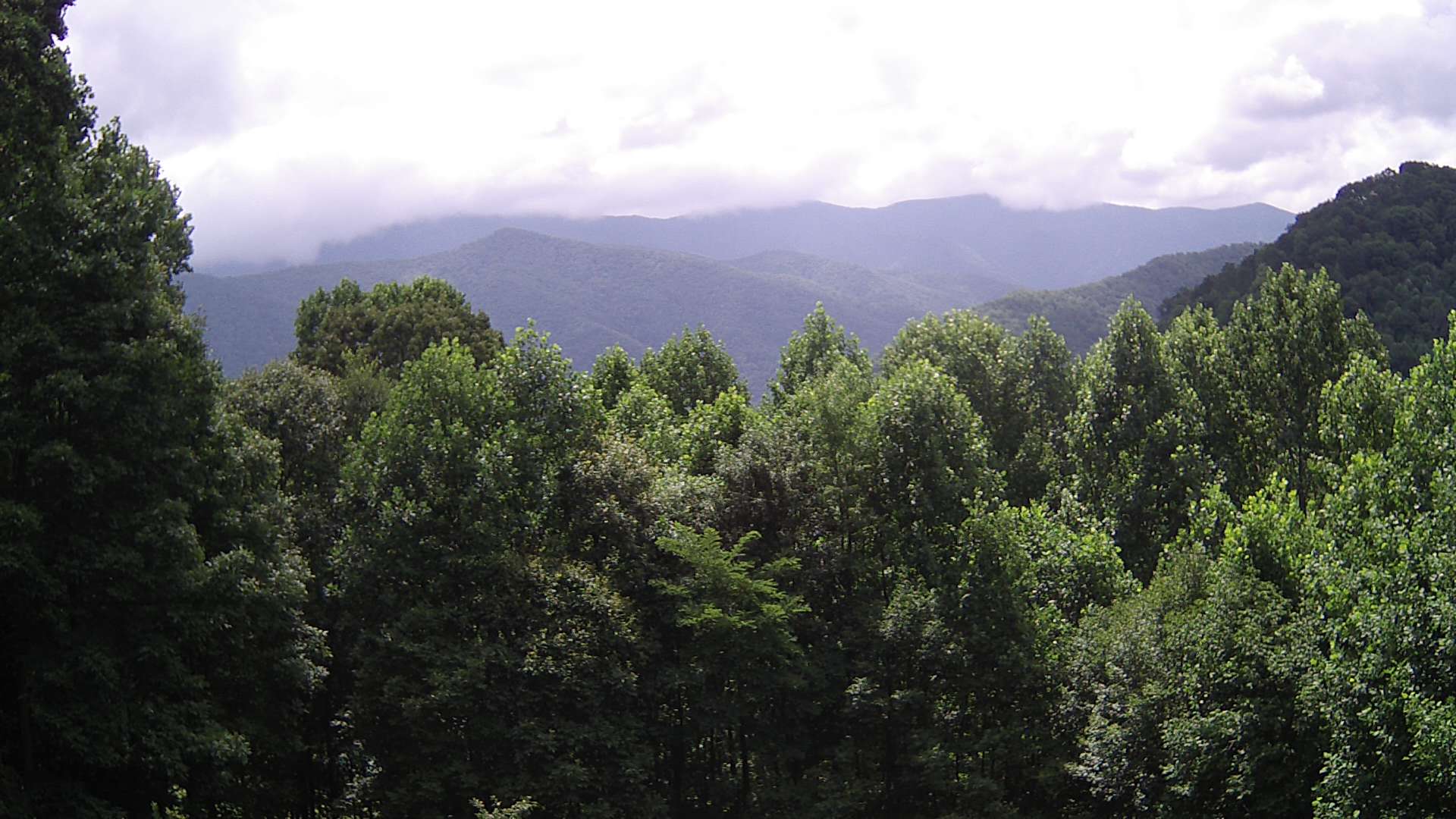 click for next image... slideshow image