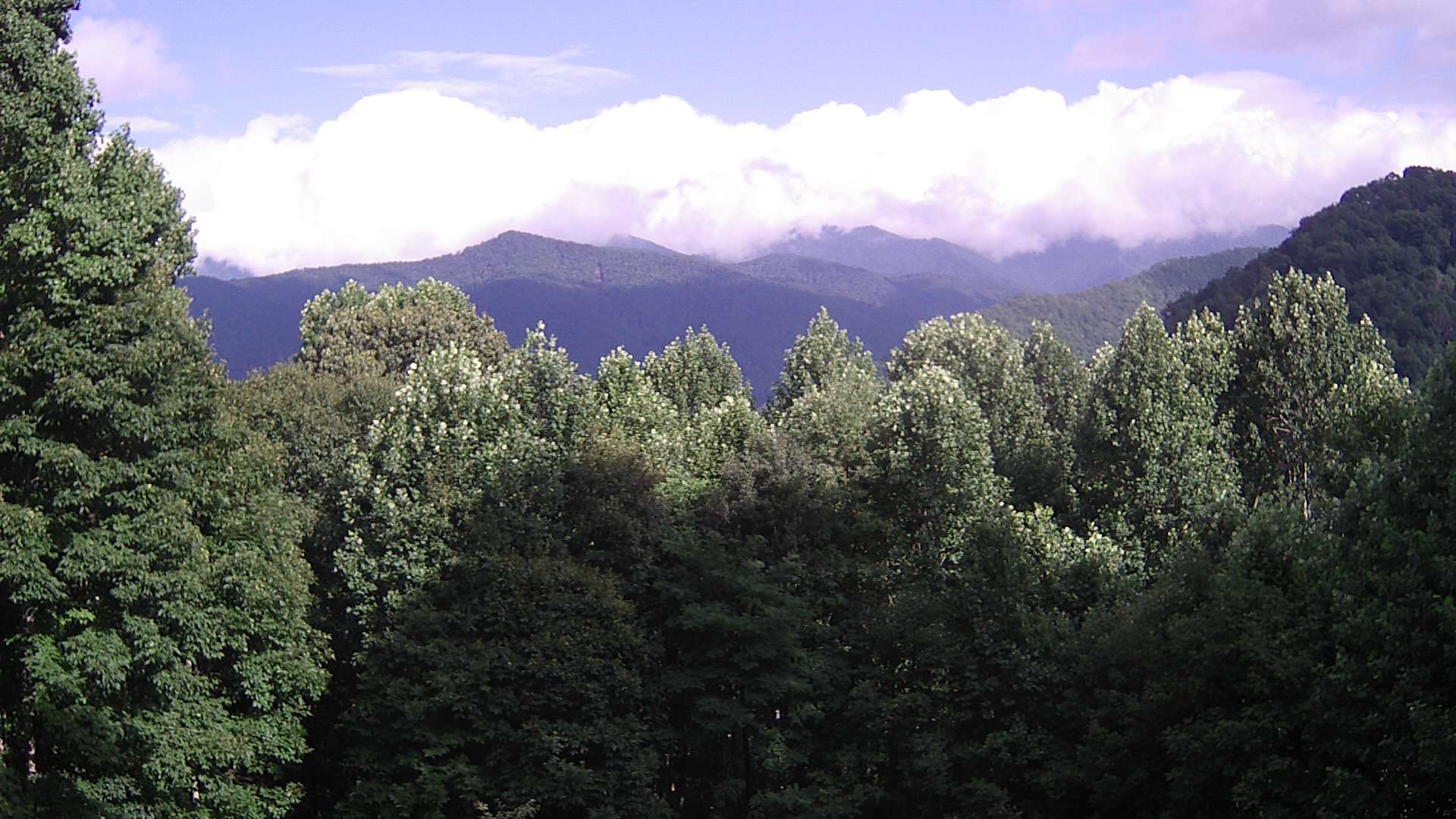 click for next image... slideshow image