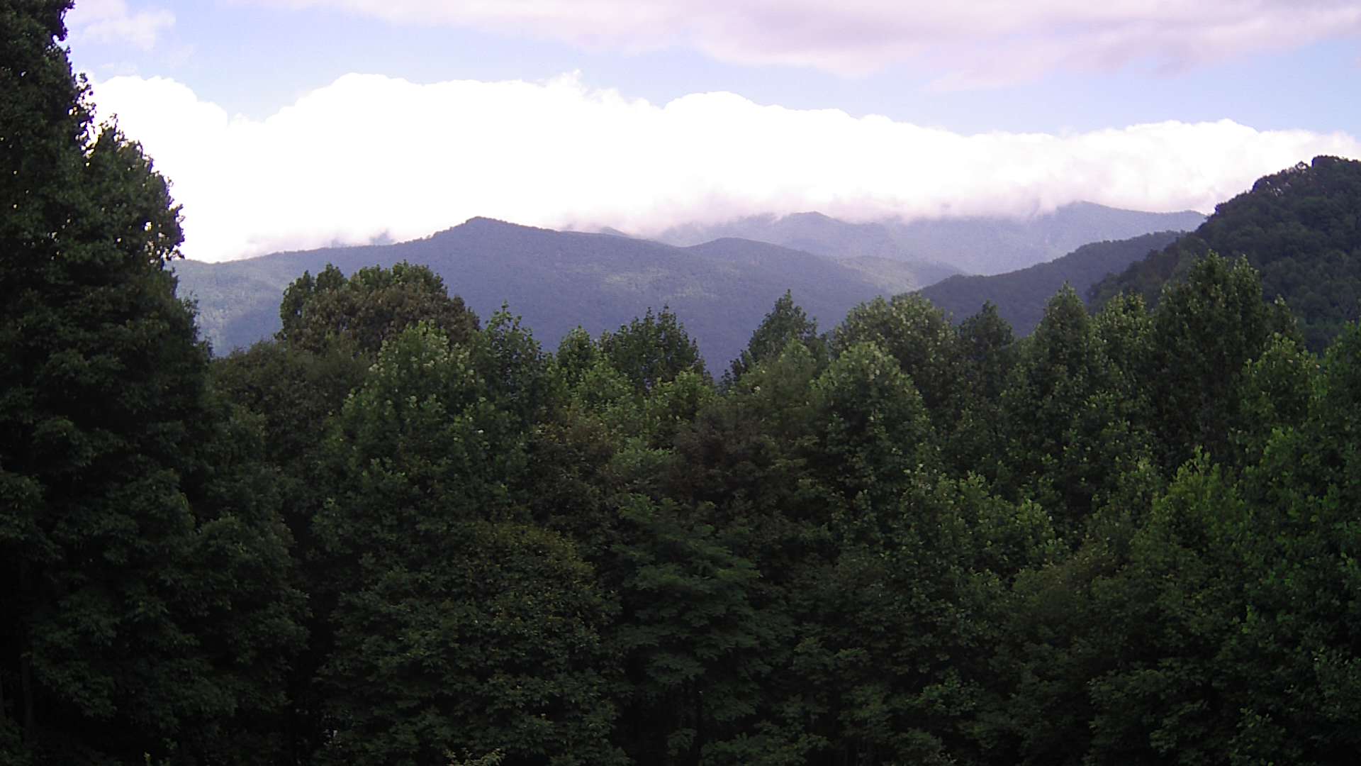 click for next image... slideshow image