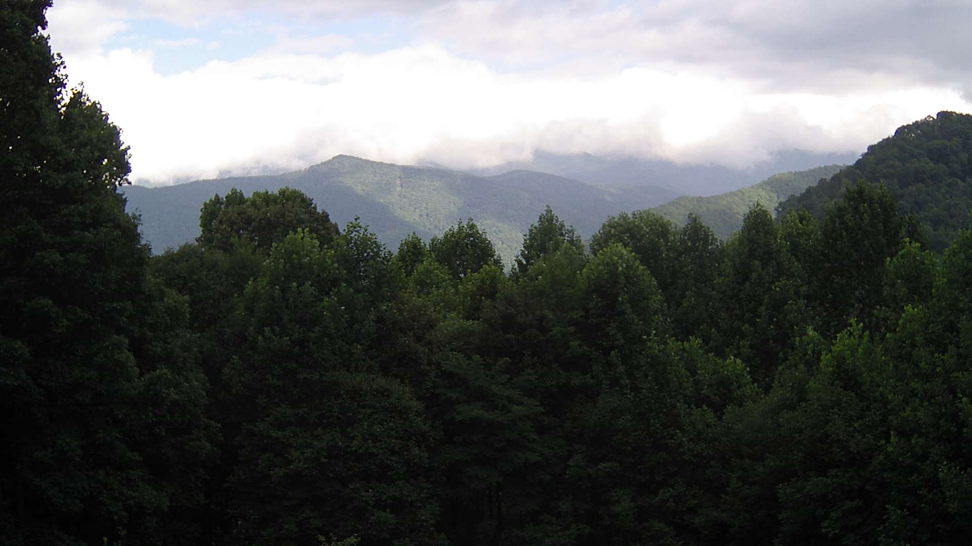 click for next image... slideshow image