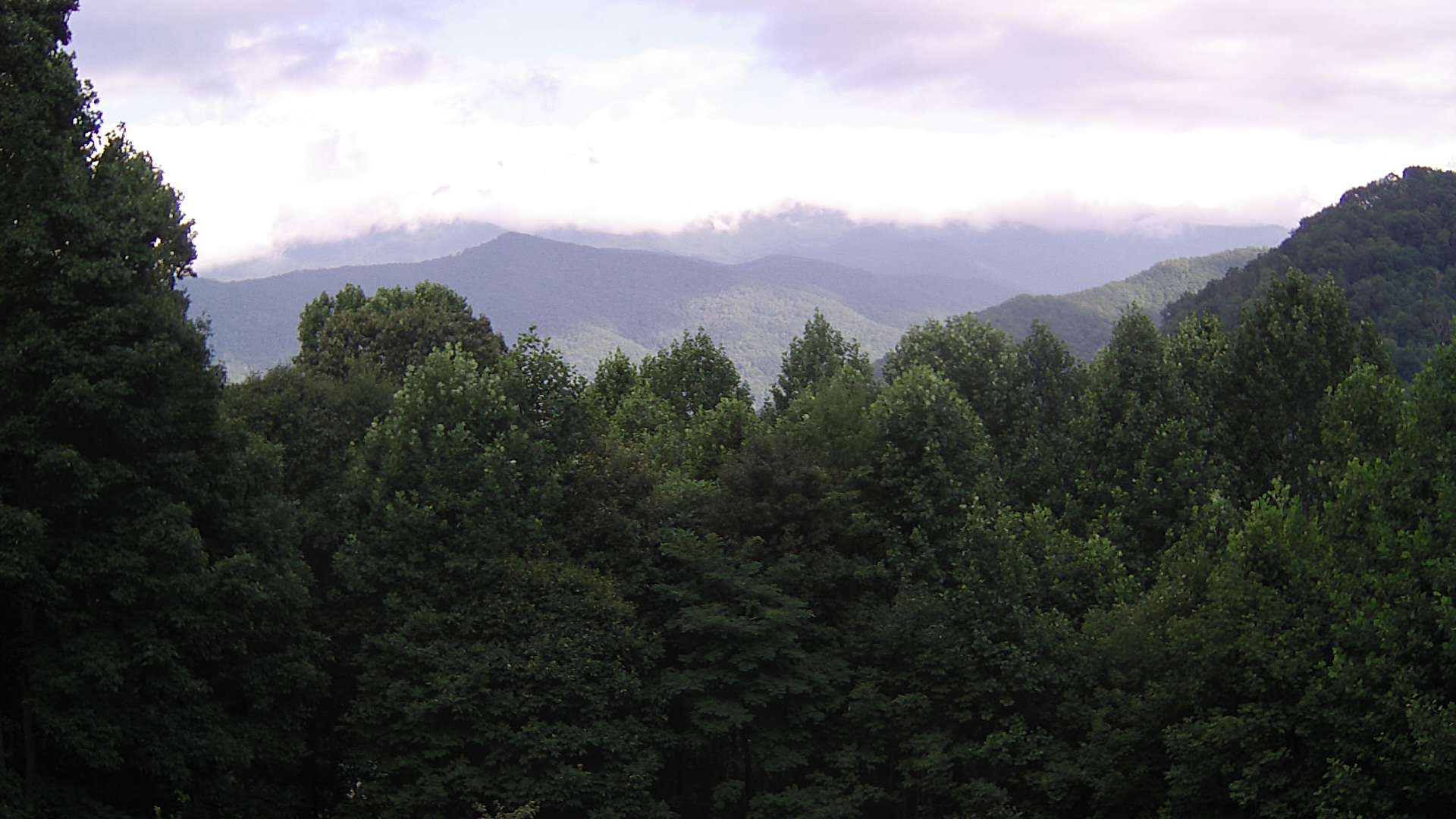 click for next image... slideshow image
