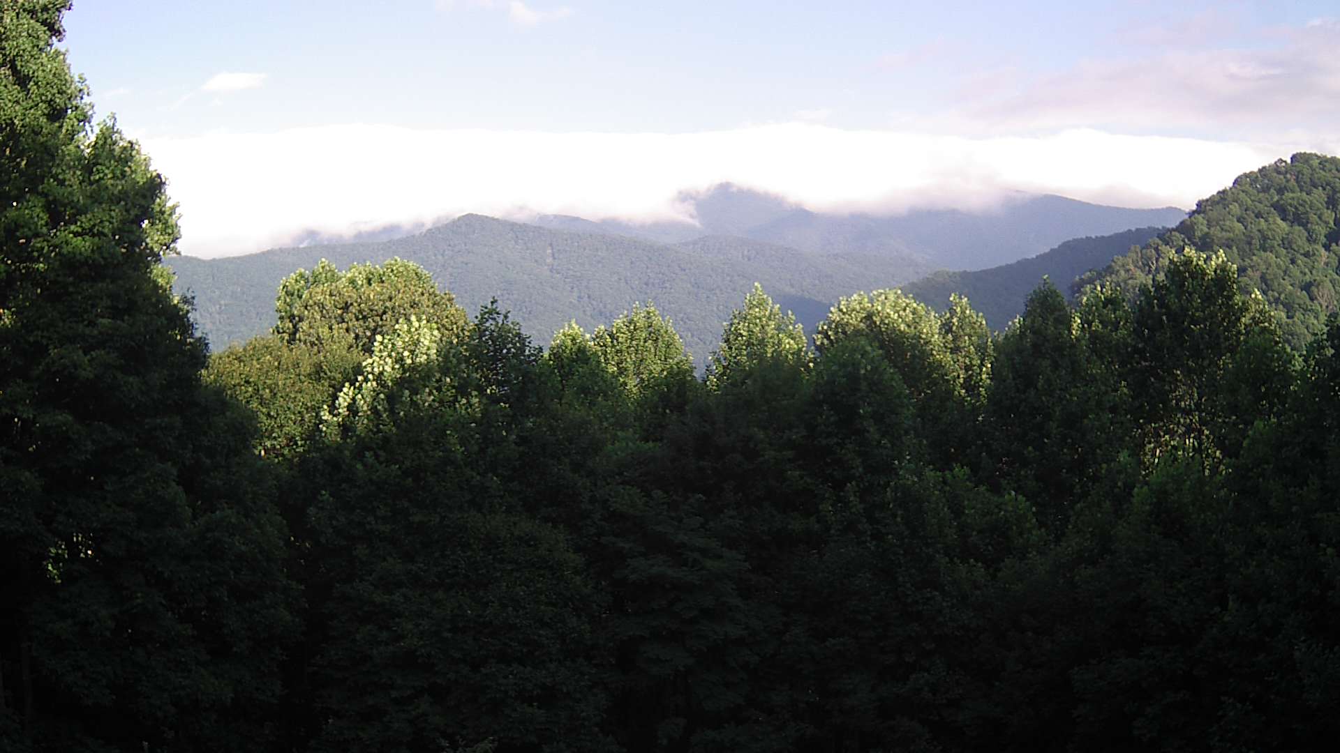 click for next image... slideshow image