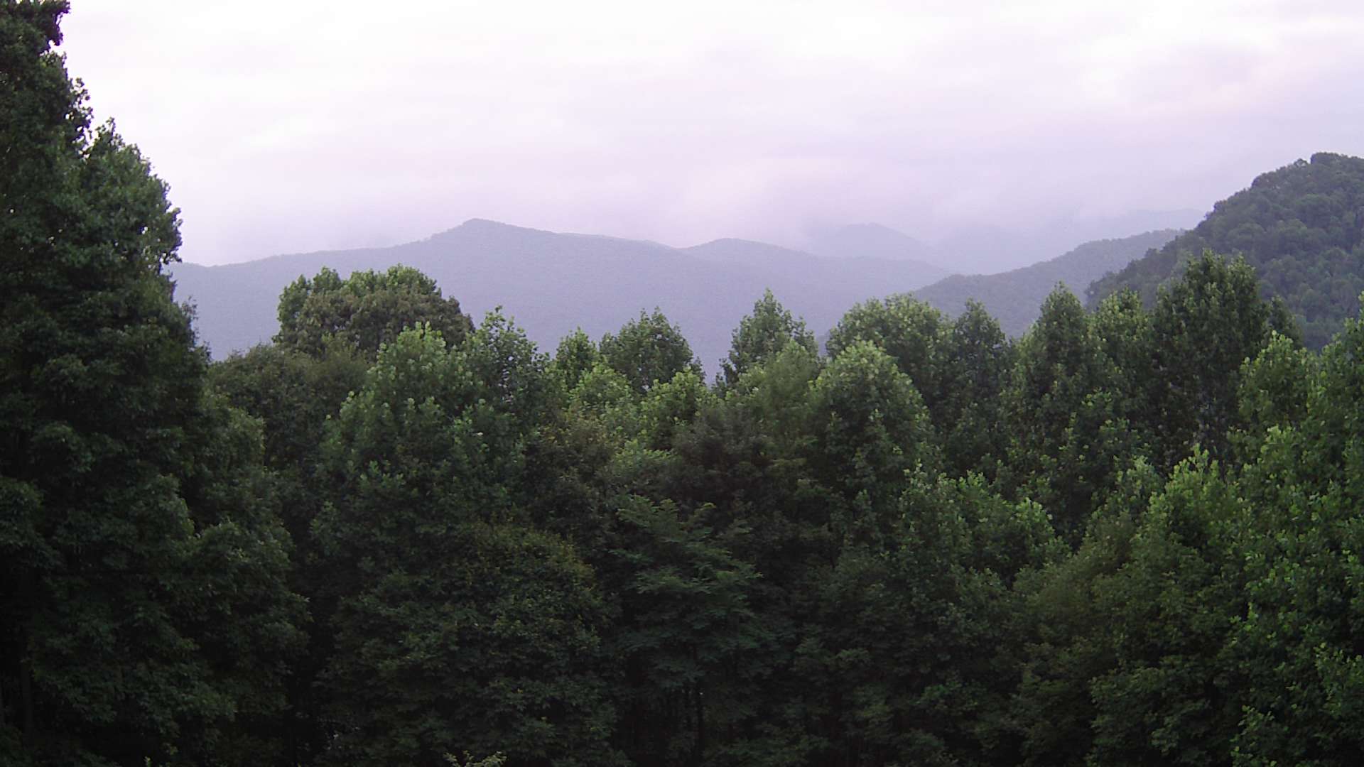 click for next image... slideshow image