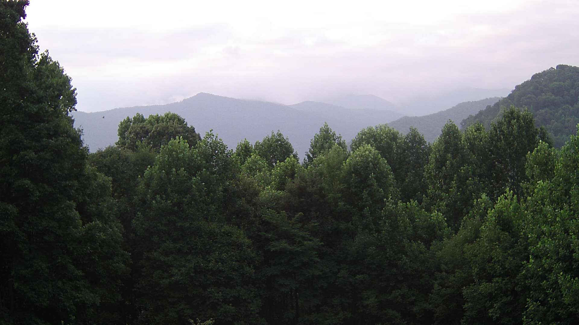 click for next image... slideshow image