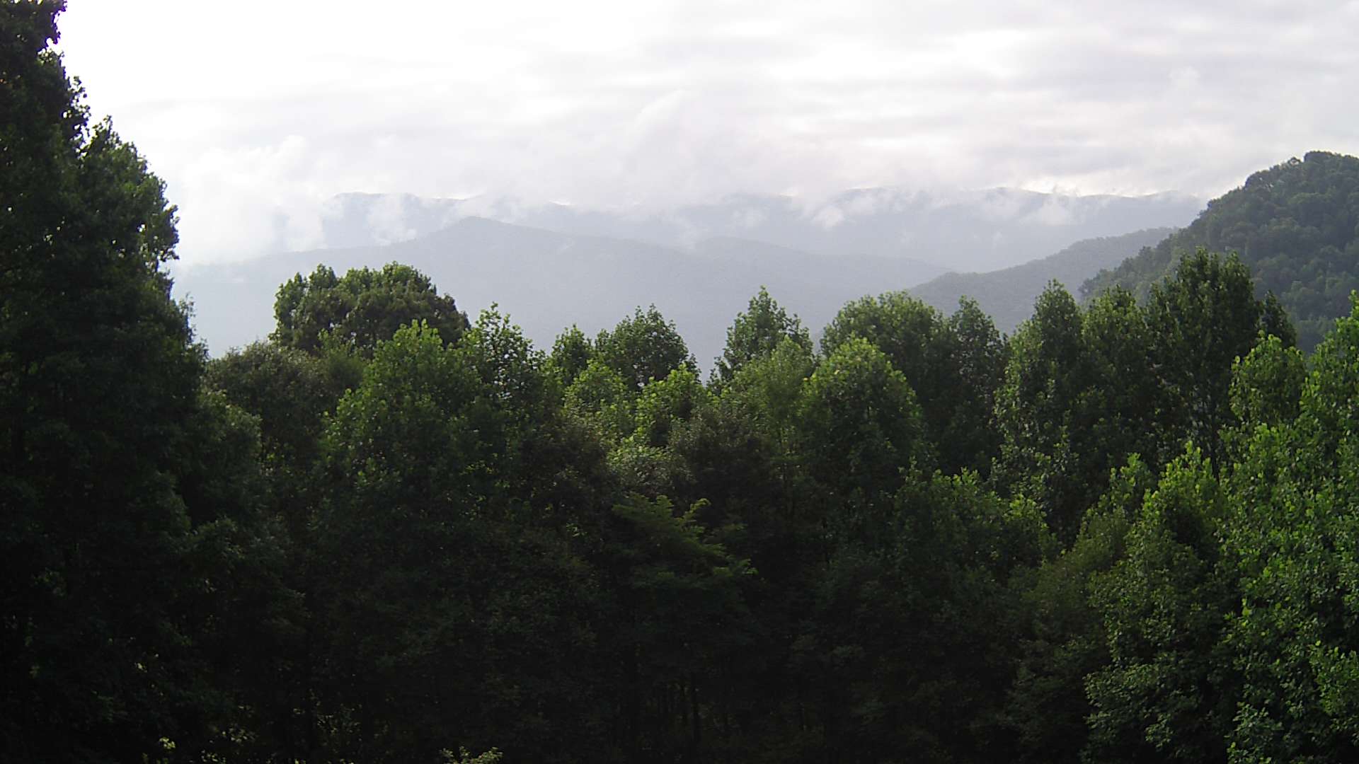 click for next image... slideshow image