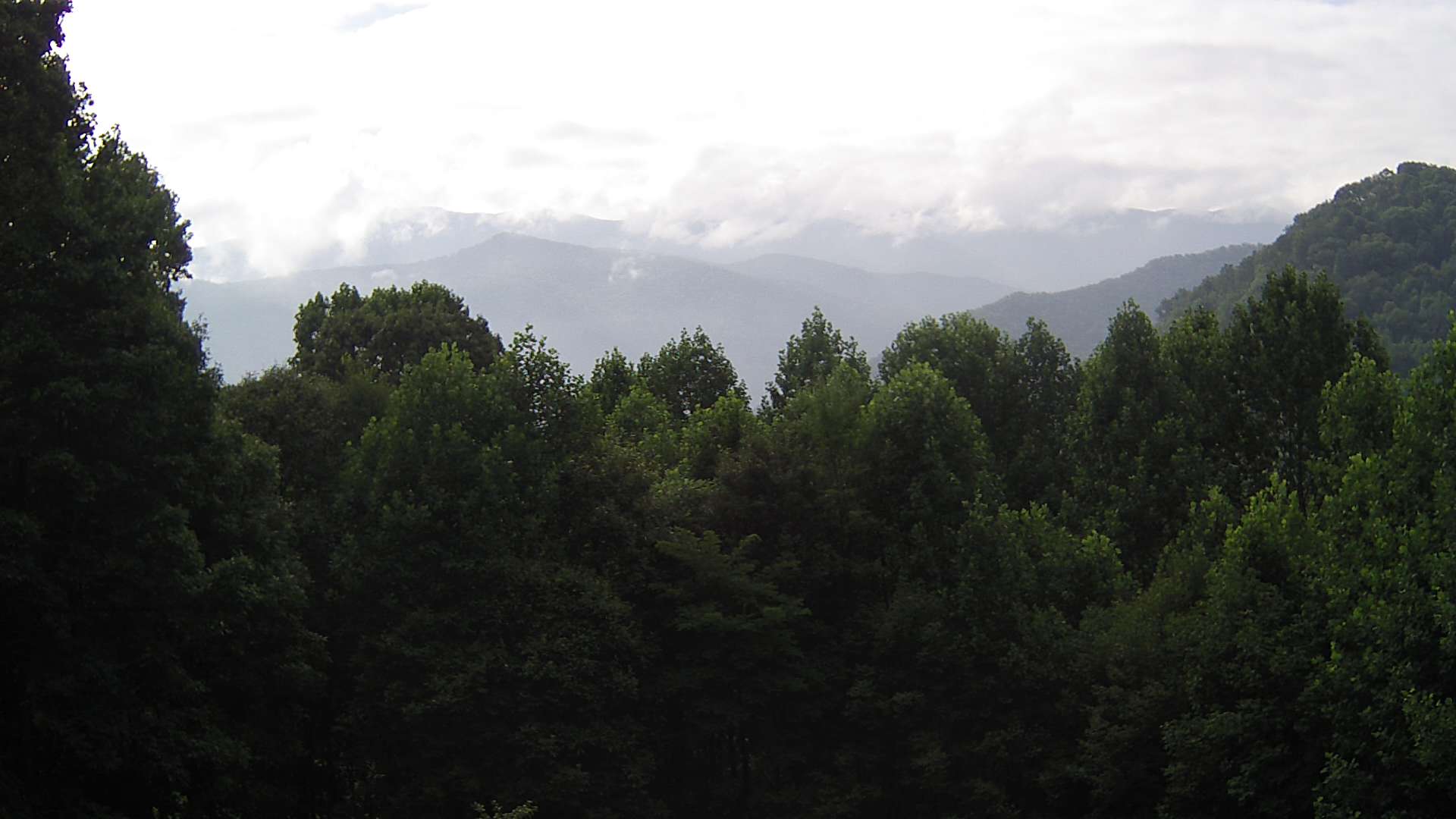 click for next image... slideshow image