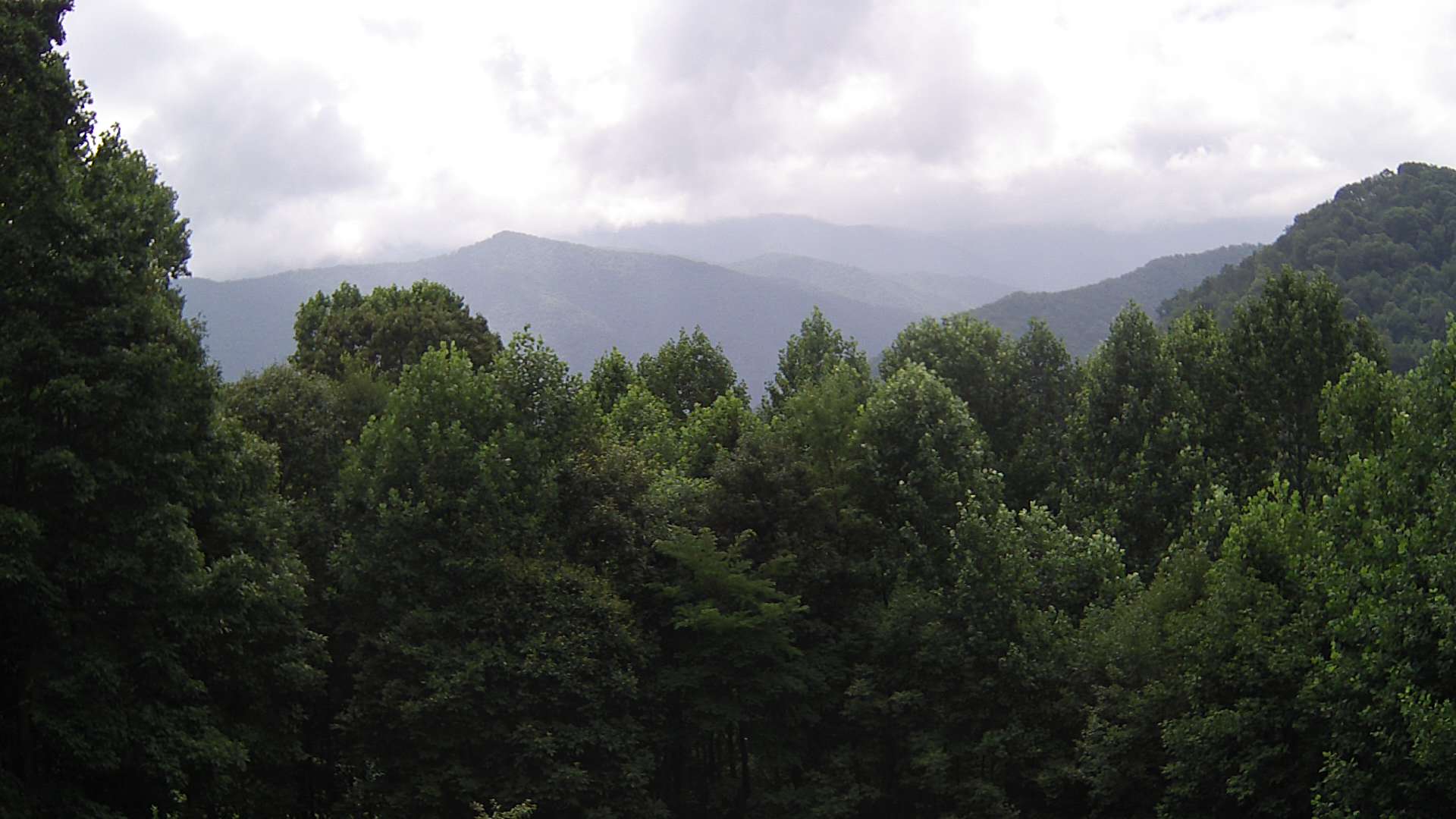click for next image... slideshow image