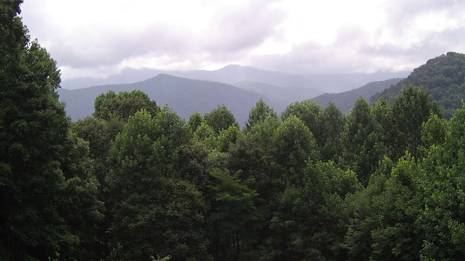 click for next image... slideshow image