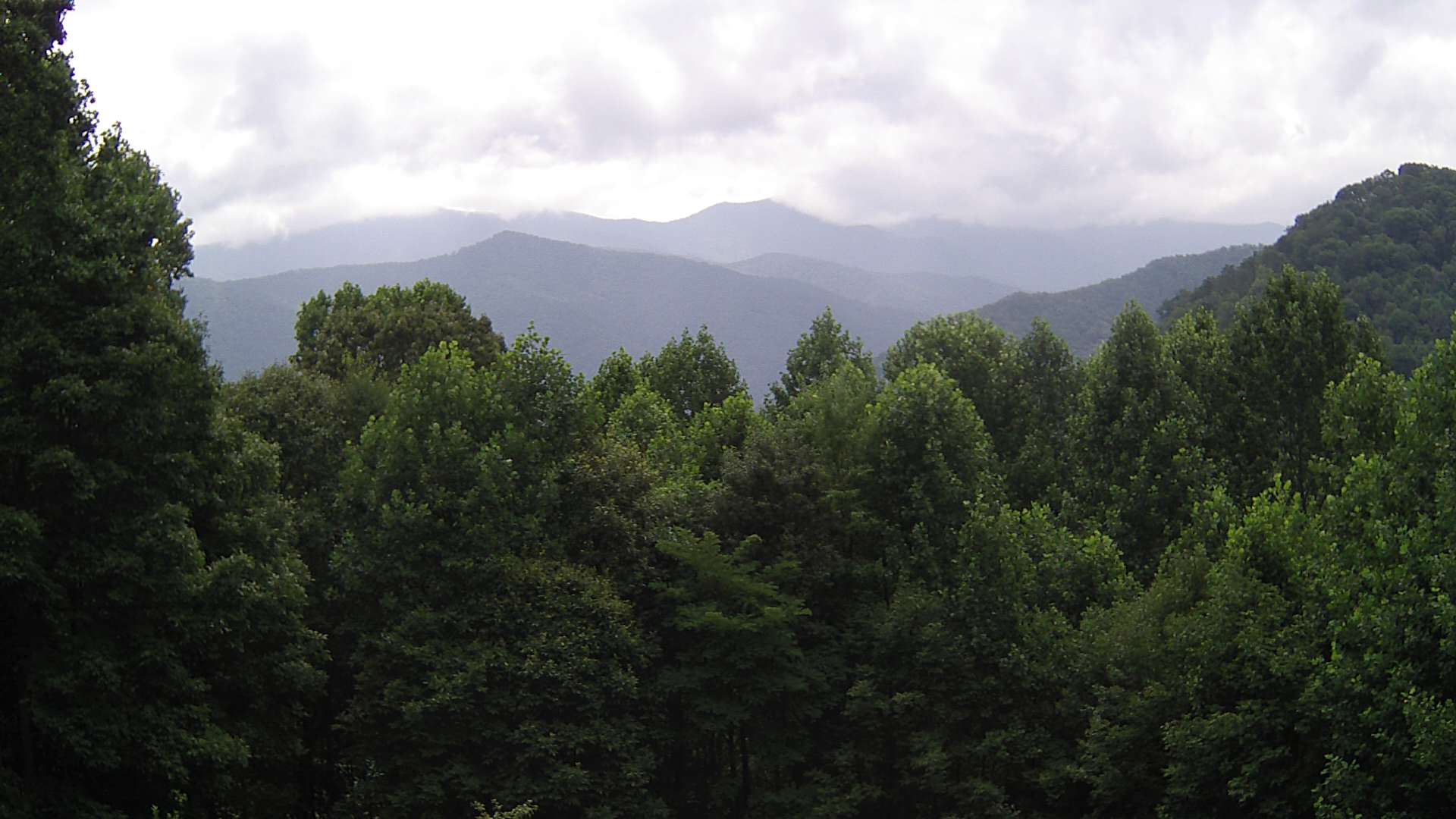 click for next image... slideshow image