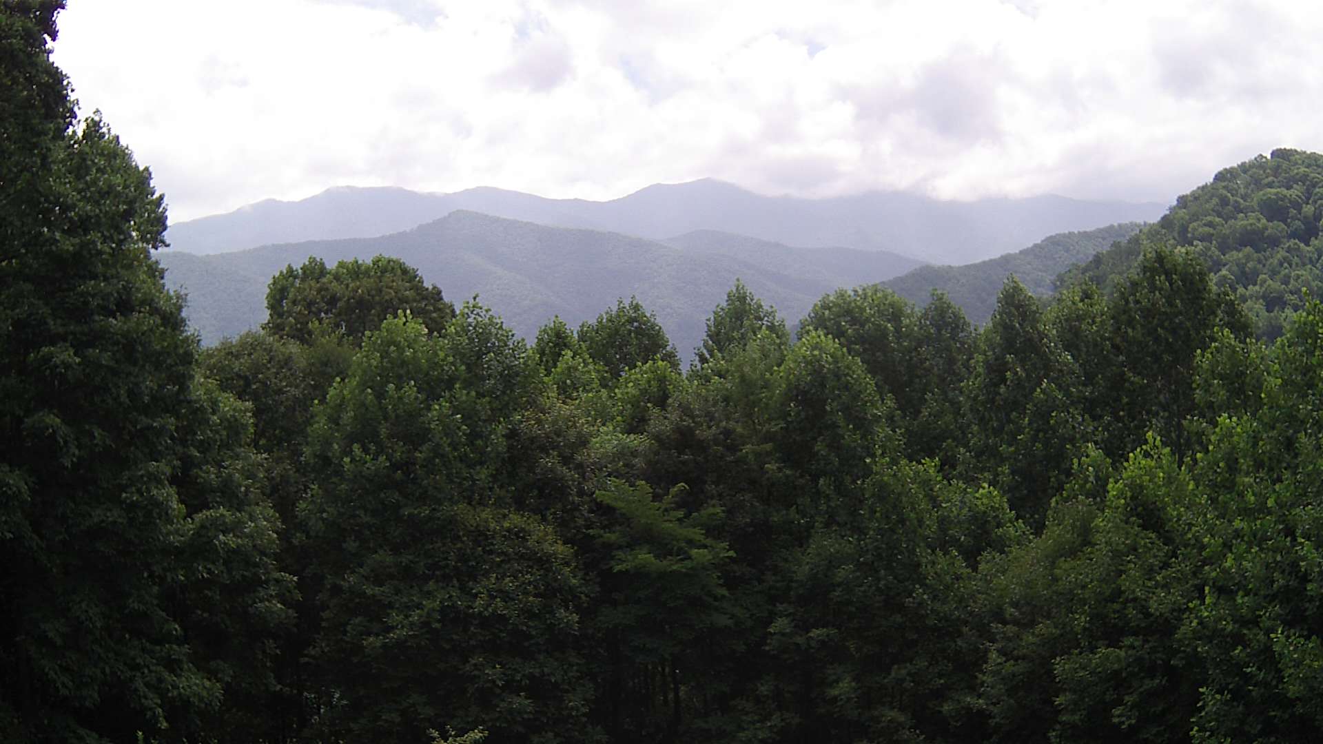 click for next image... slideshow image