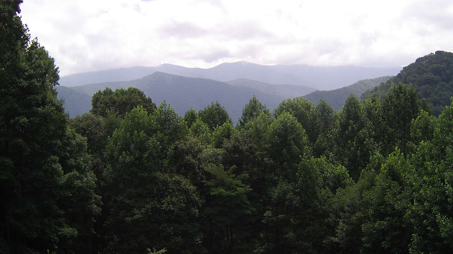 click for next image... slideshow image
