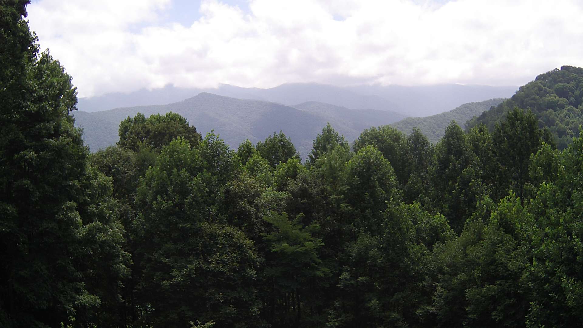 click for next image... slideshow image