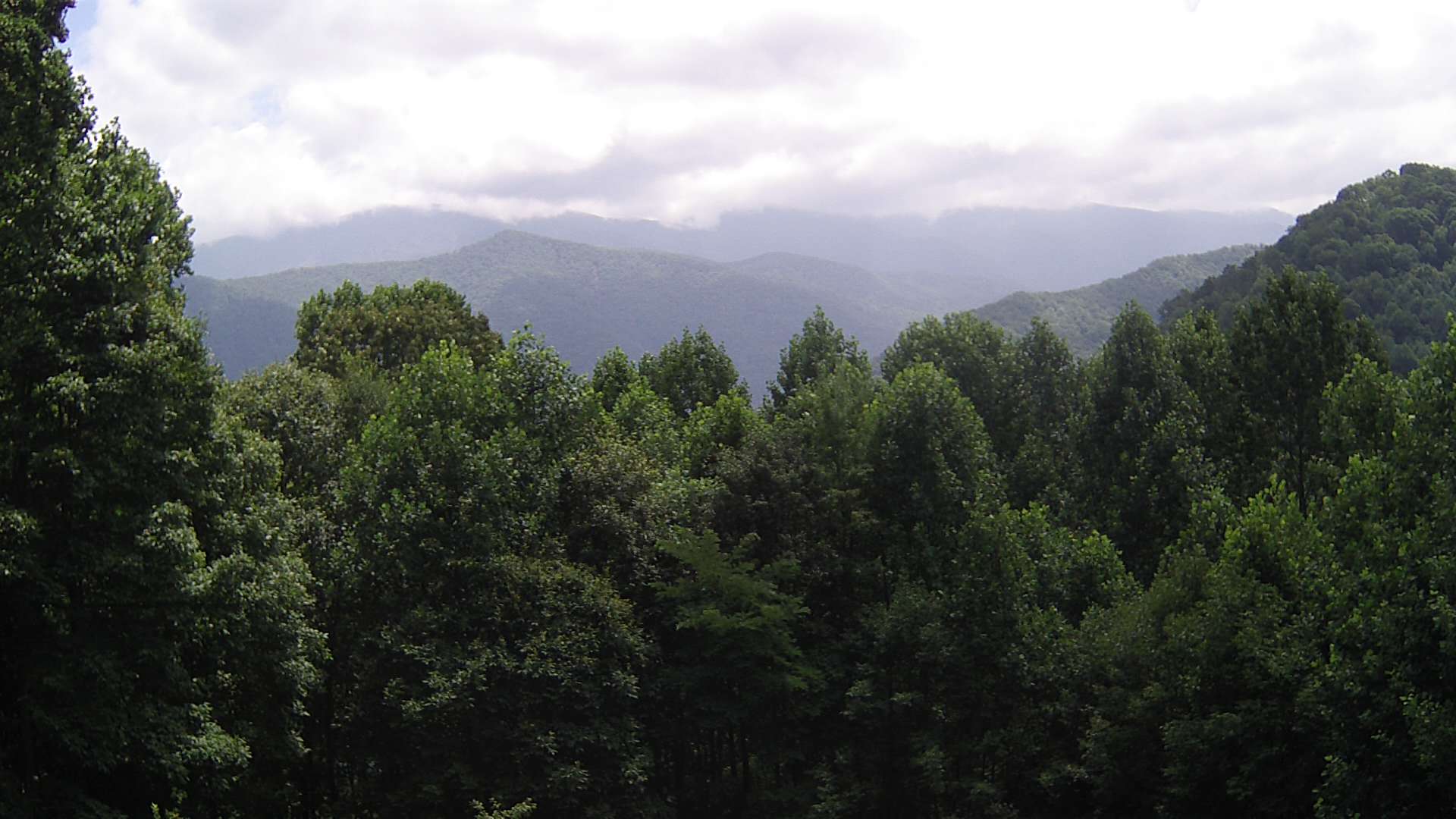 click for next image... slideshow image